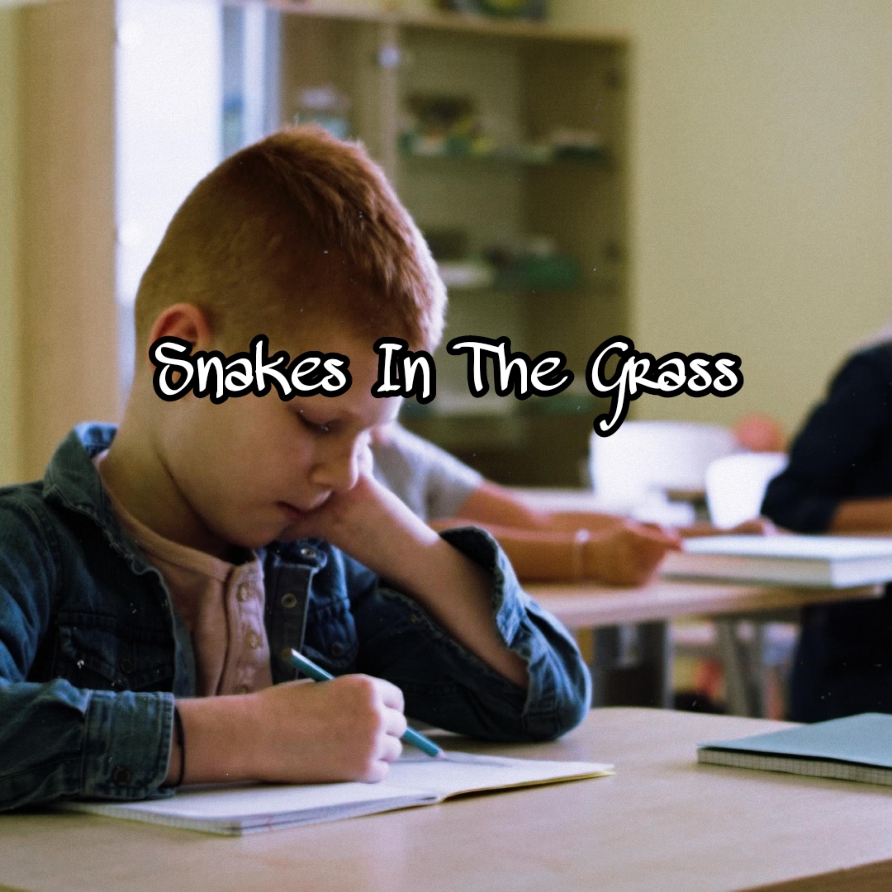 Snakes In The Grass artwork