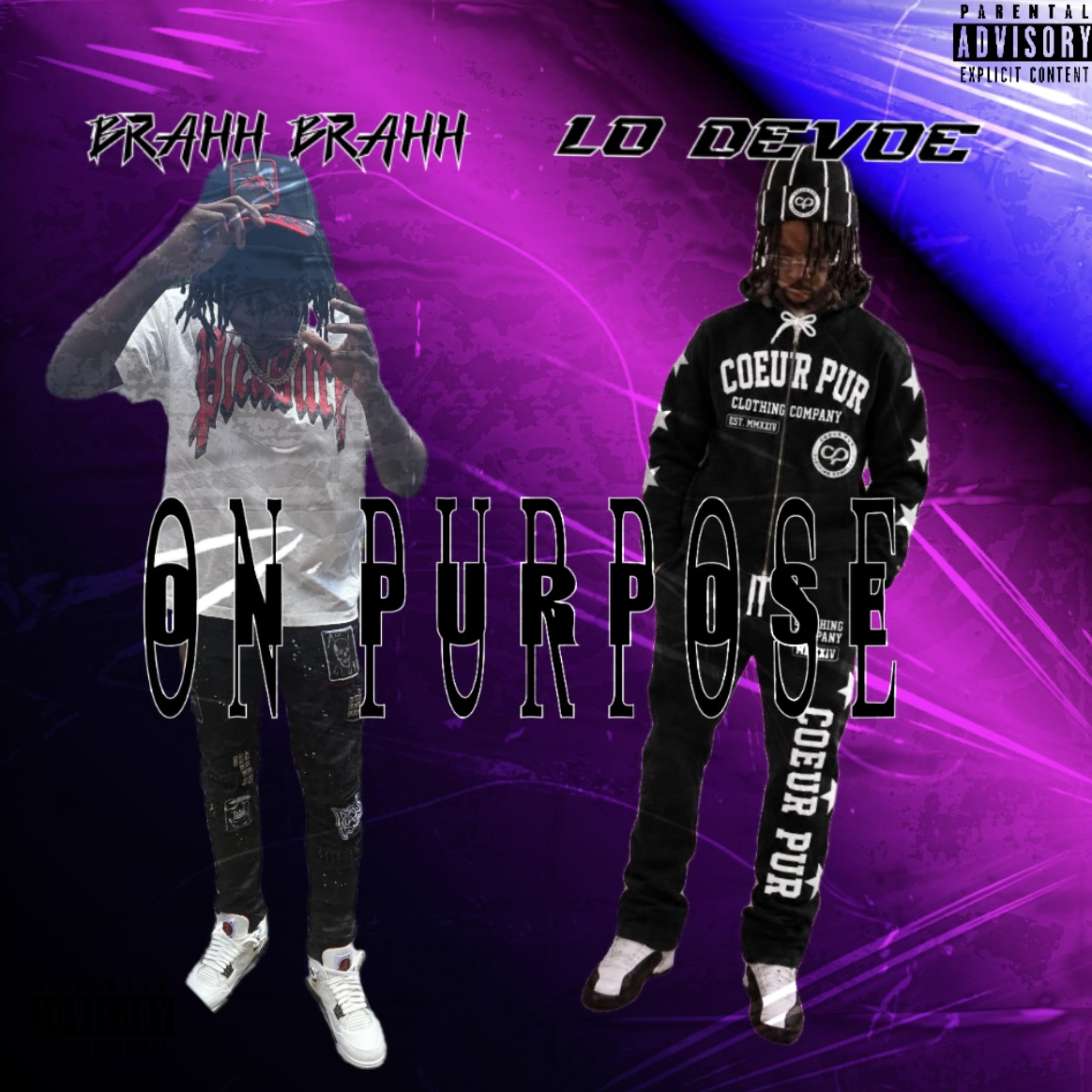 On Purpose by Brahh Brahh cover art