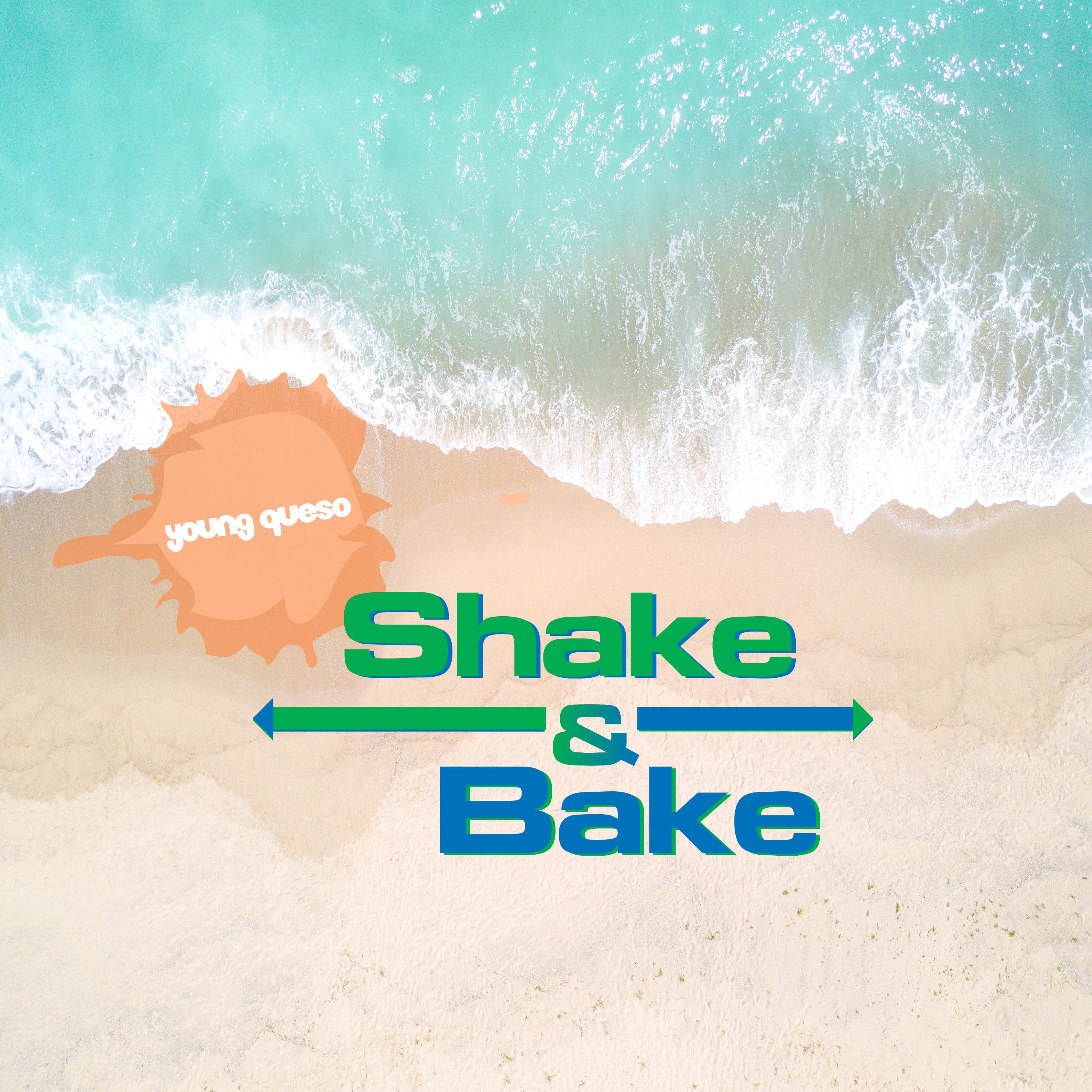 shake & bake artwork