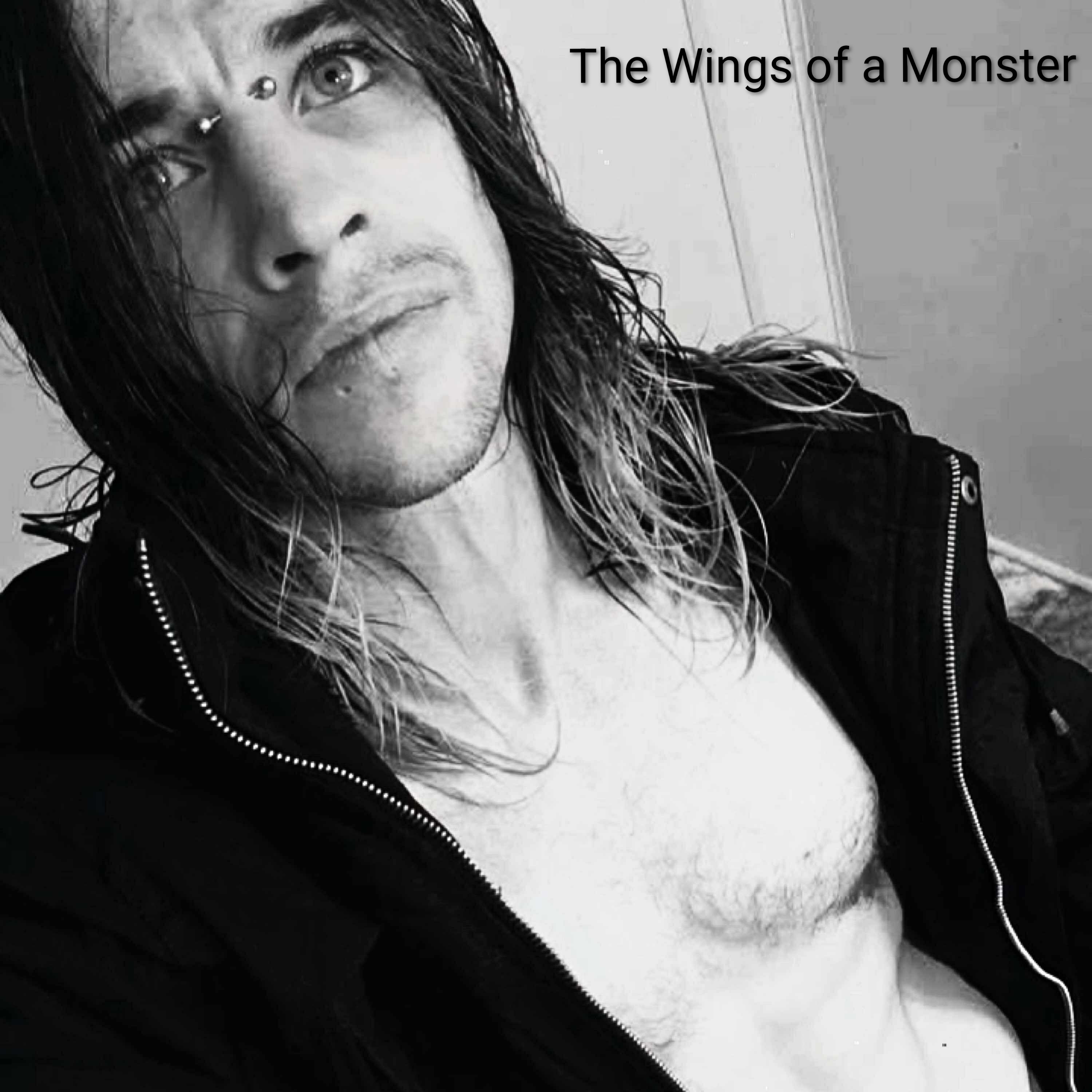 The Wings of a Monster artwork