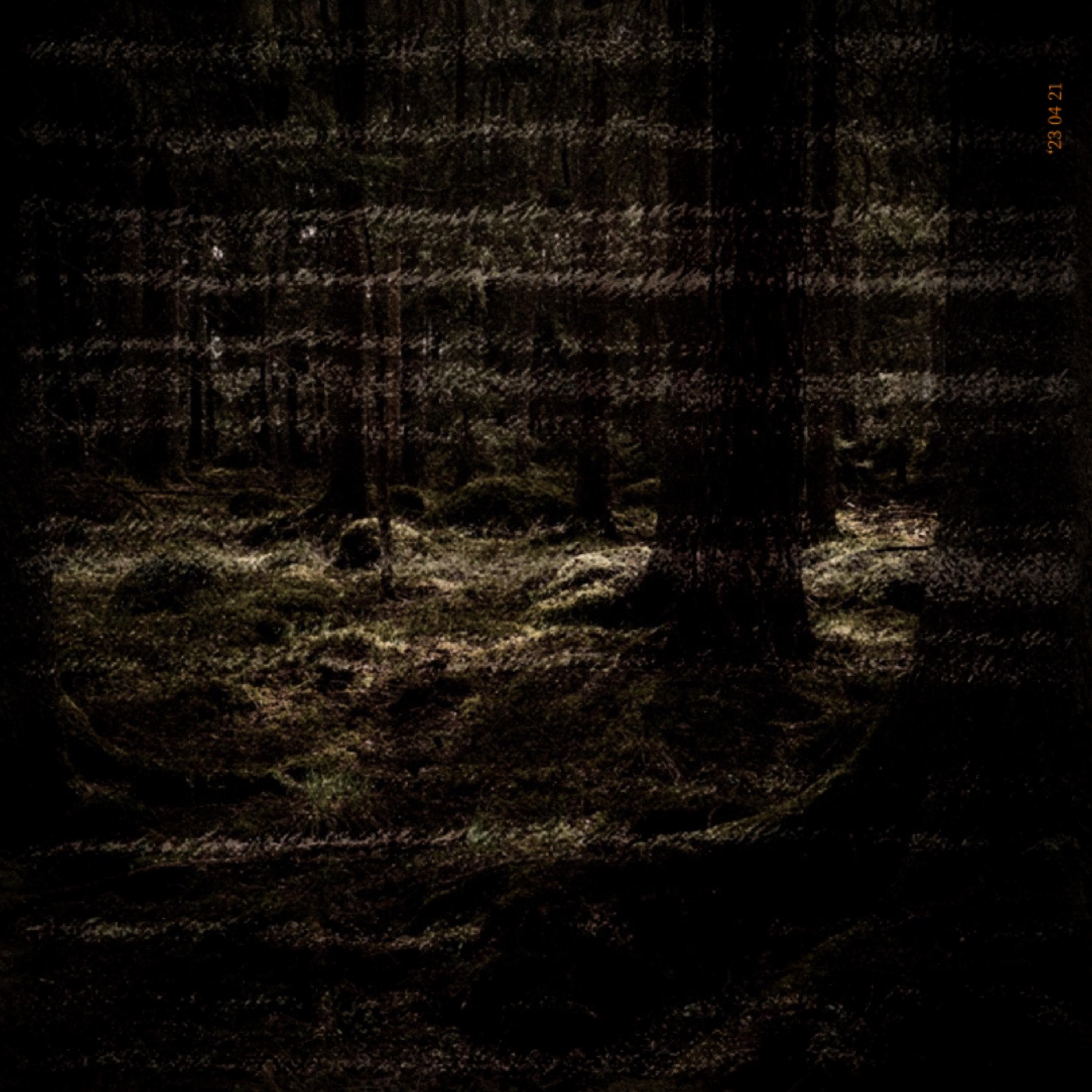 Through The Pines artwork