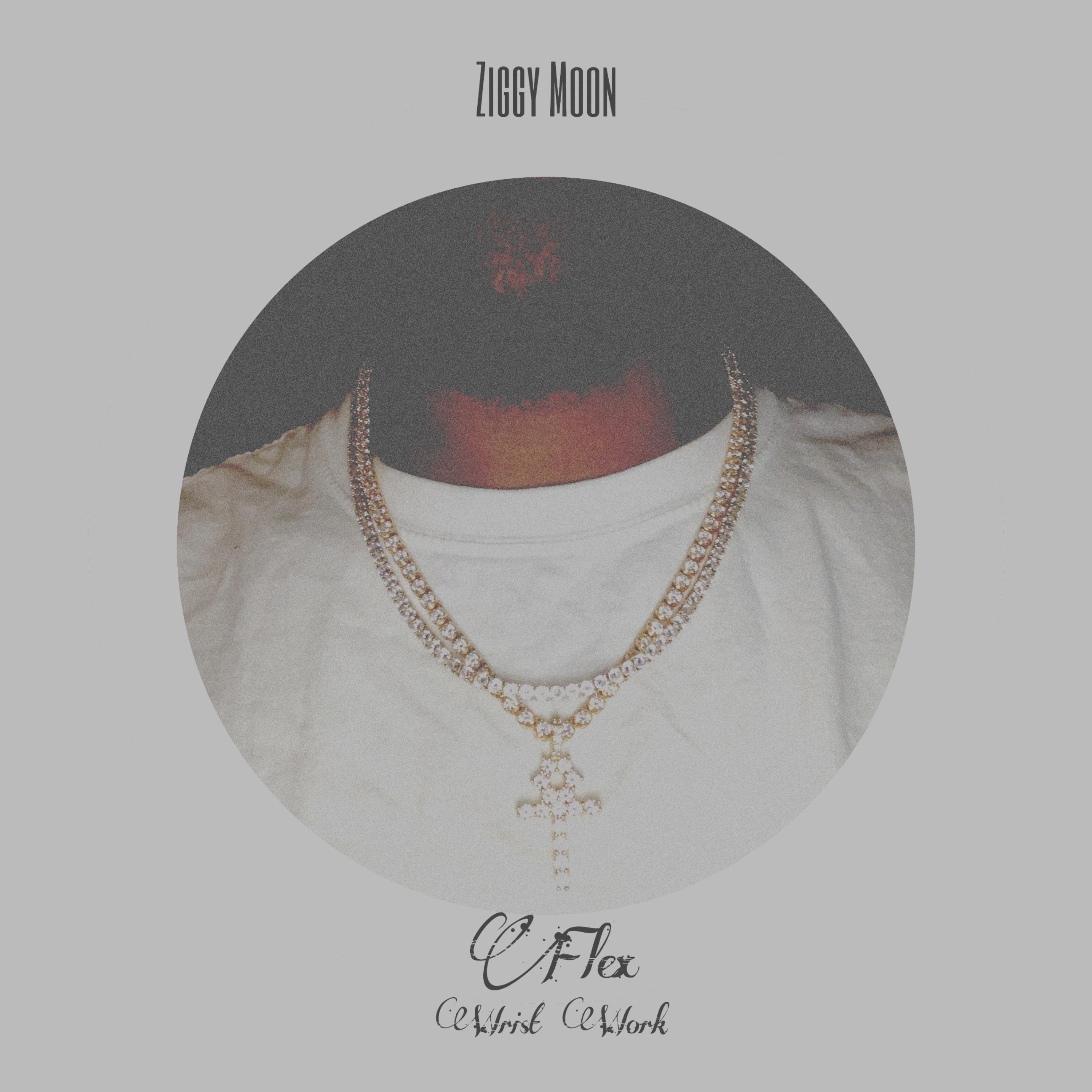 FleX (WriST WorK) artwork