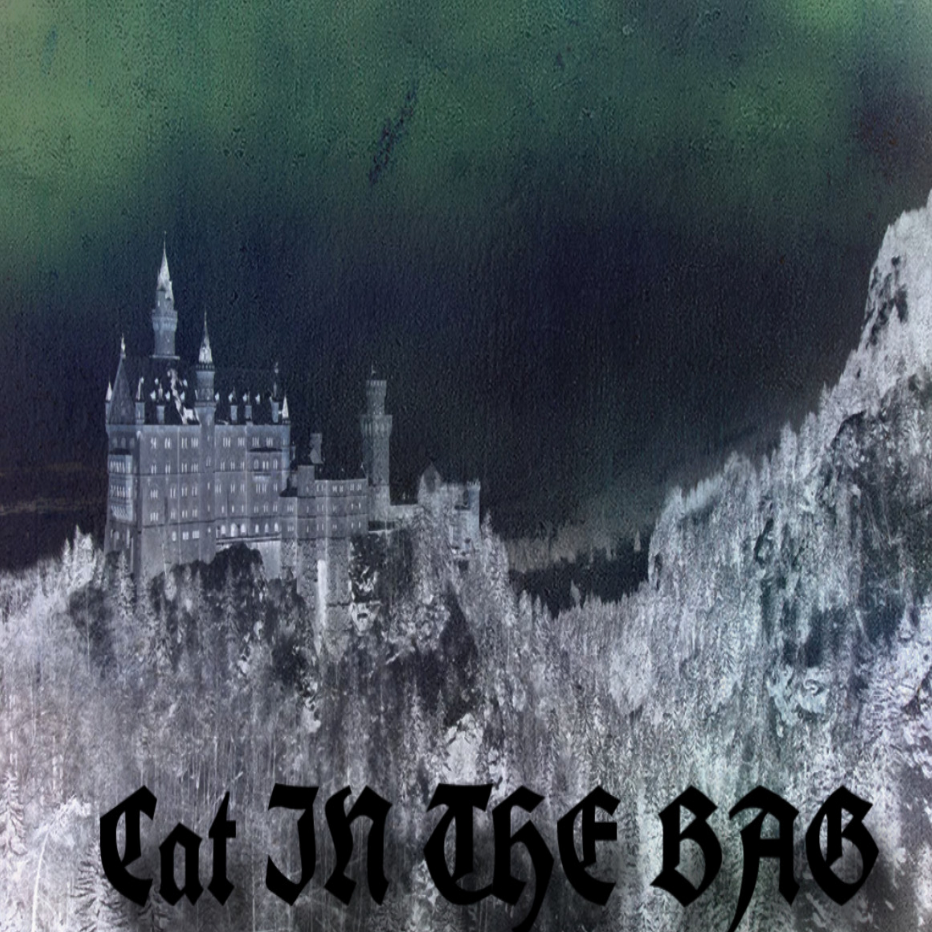 Cat In The Bag artwork