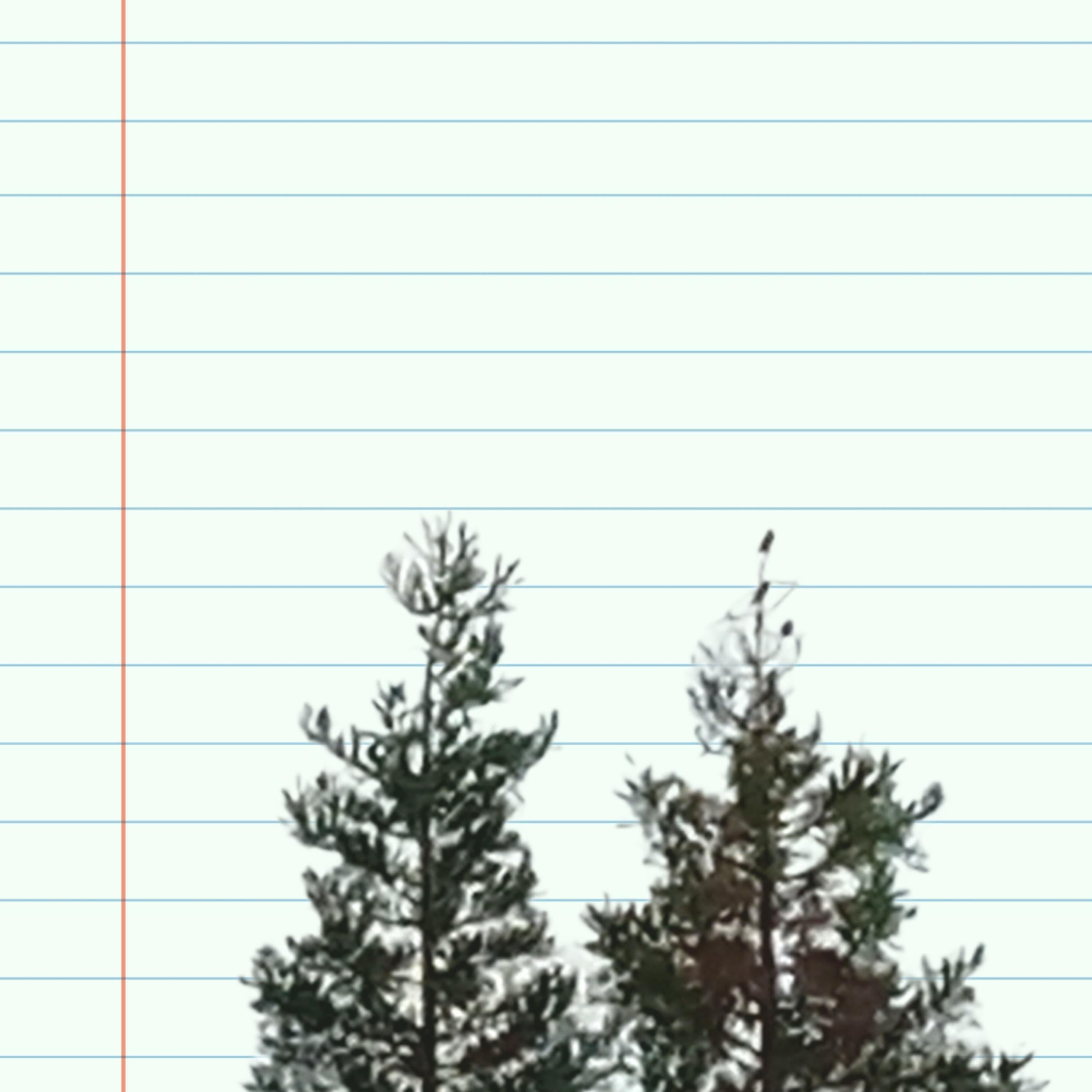 No Paper Bag artwork