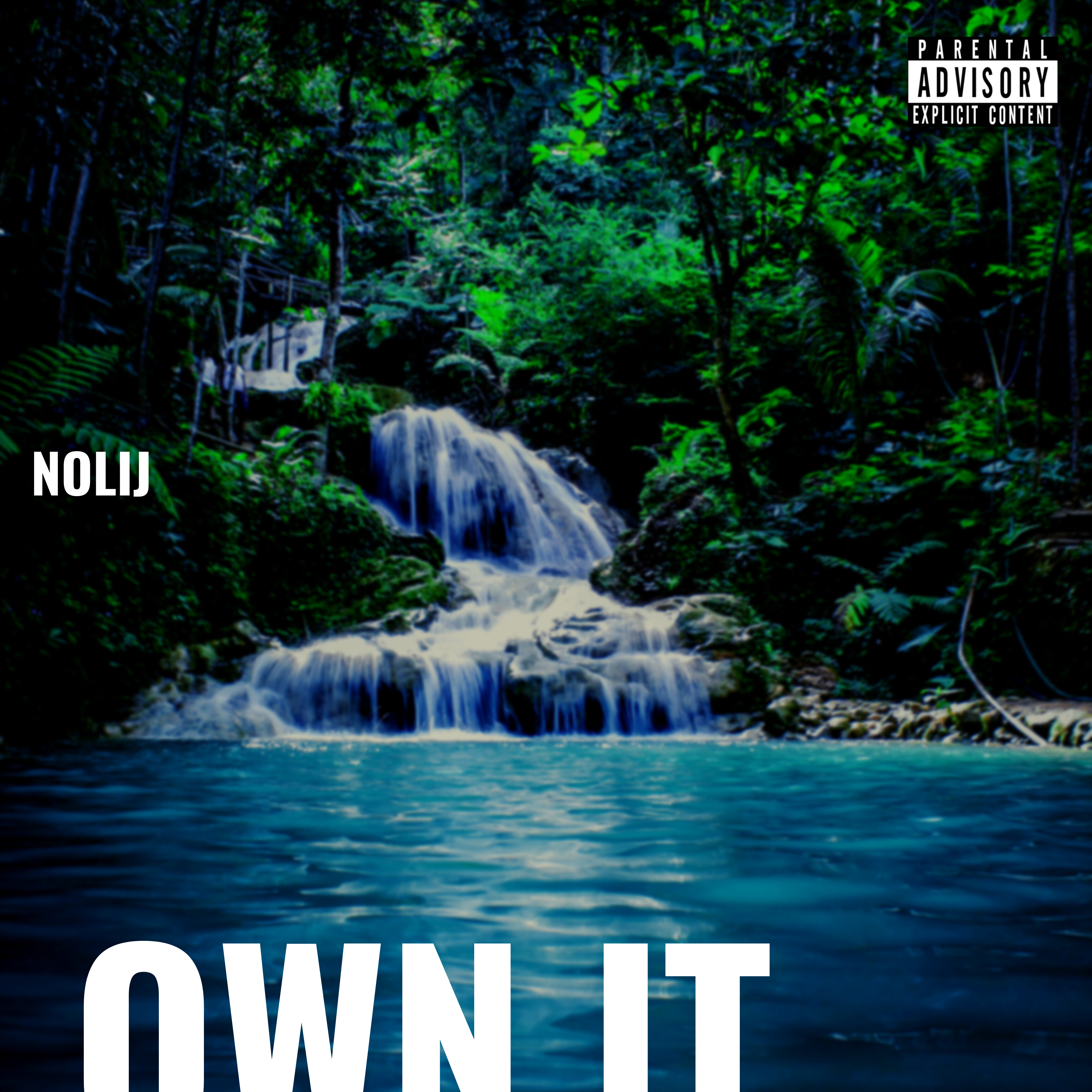 OWN IT artwork