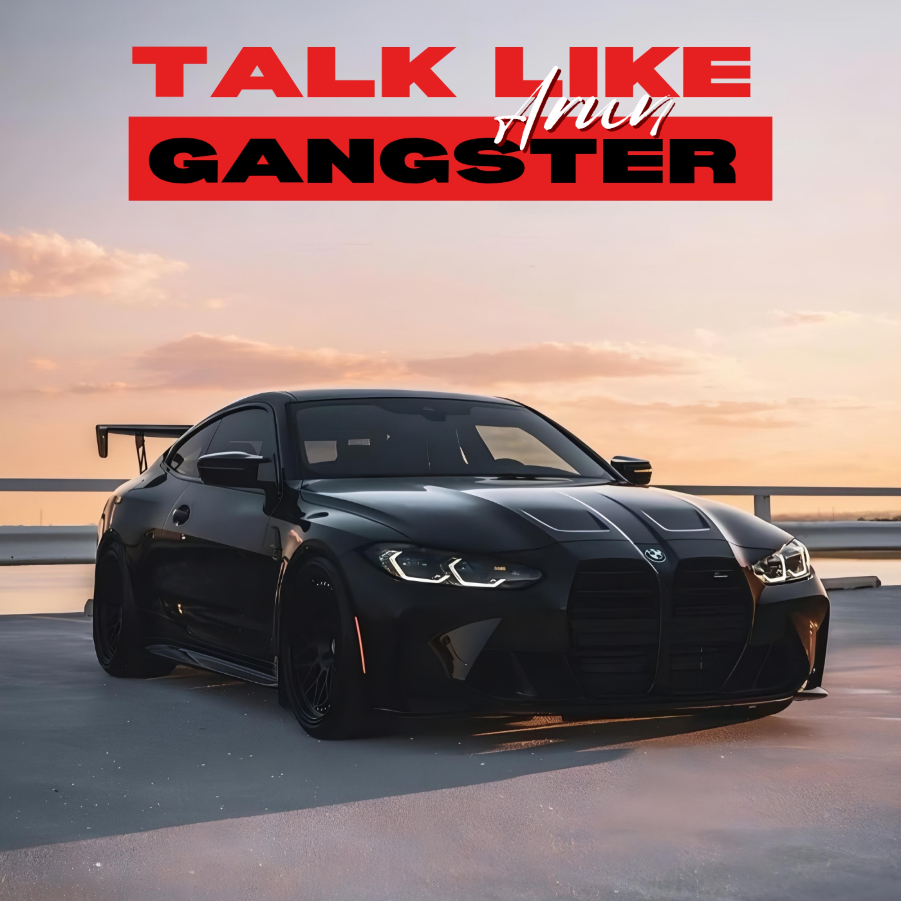 Talk like Gangster artwork
