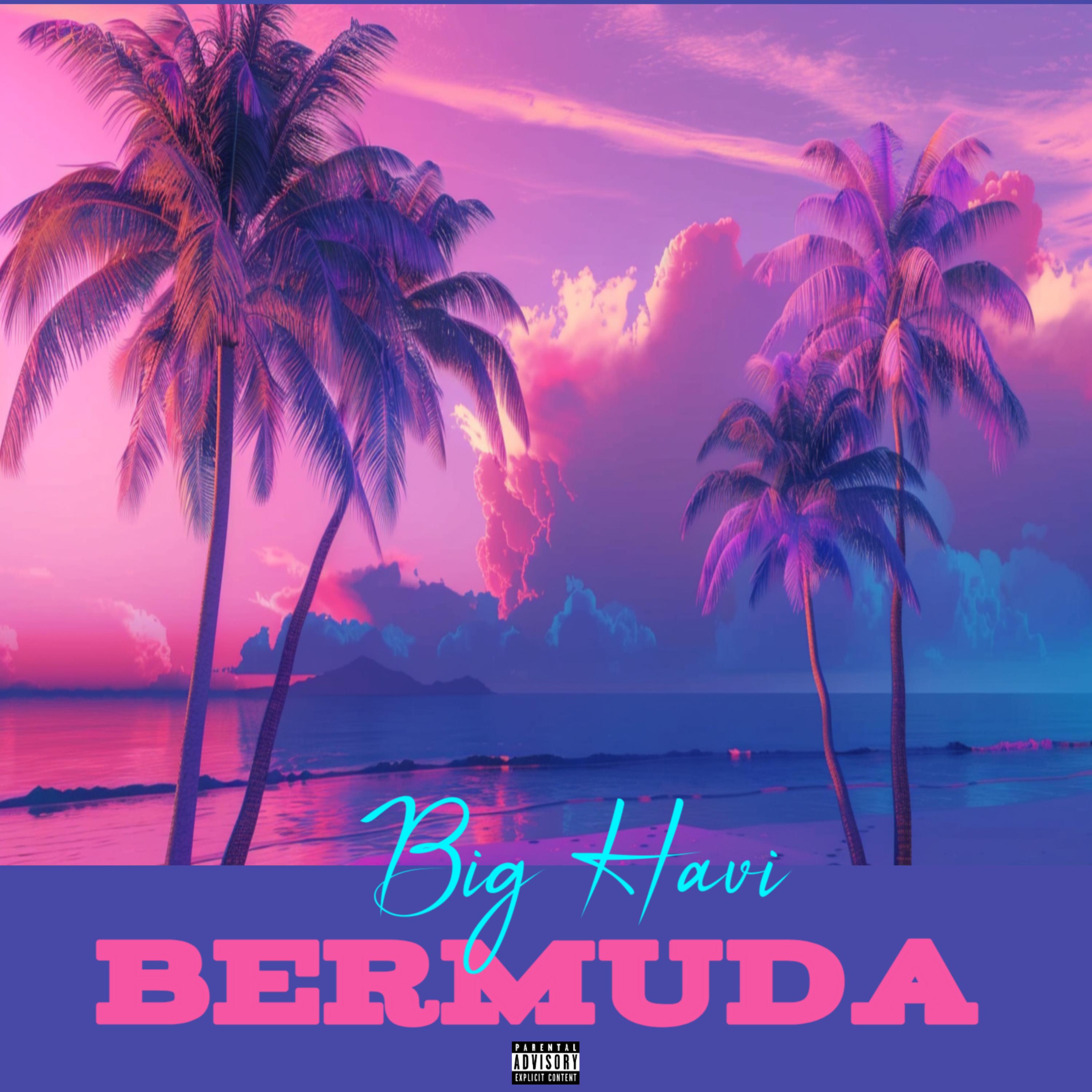 Bermuda artwork