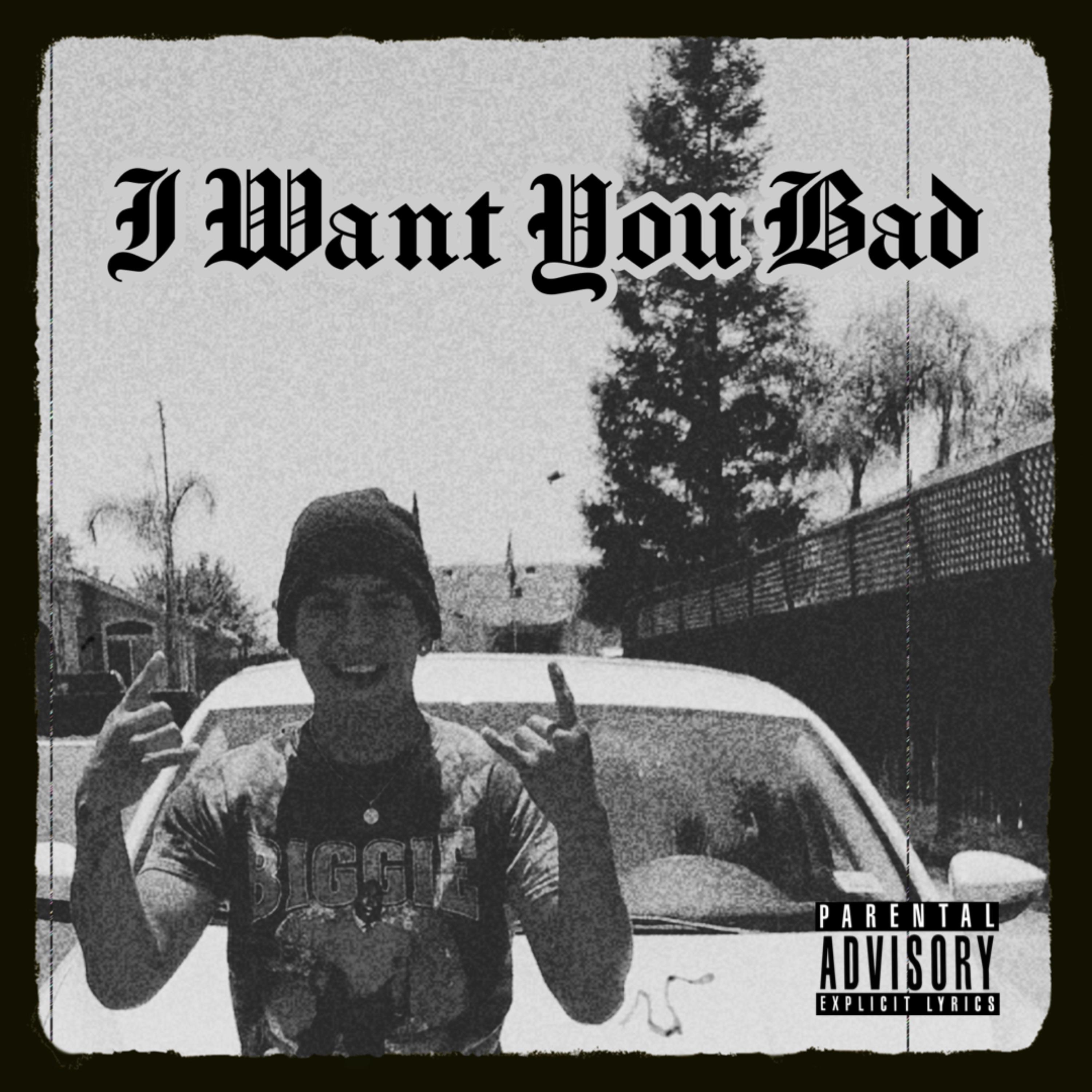 I Want You Bad by Rockstar Turtle cover art