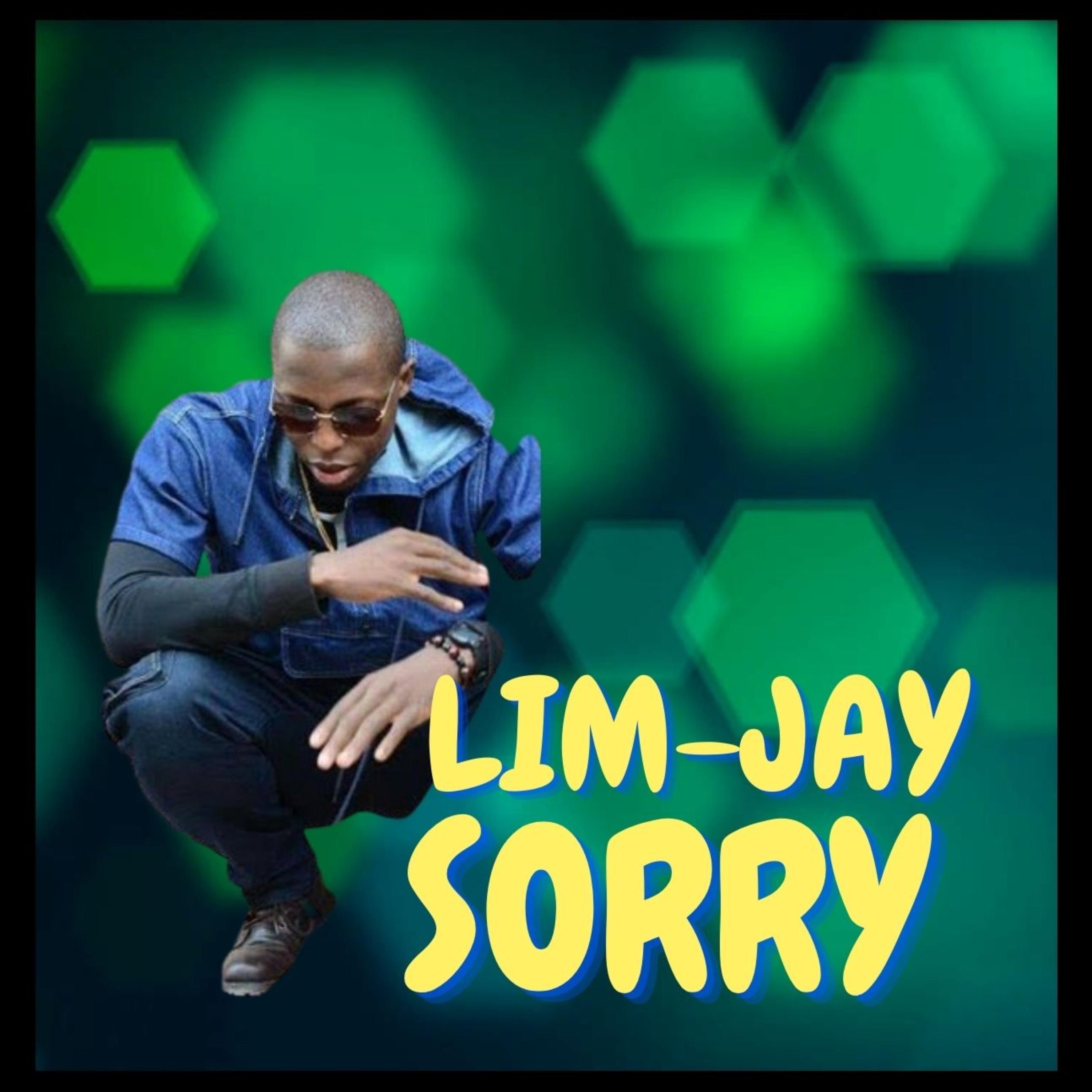 Sorry artwork