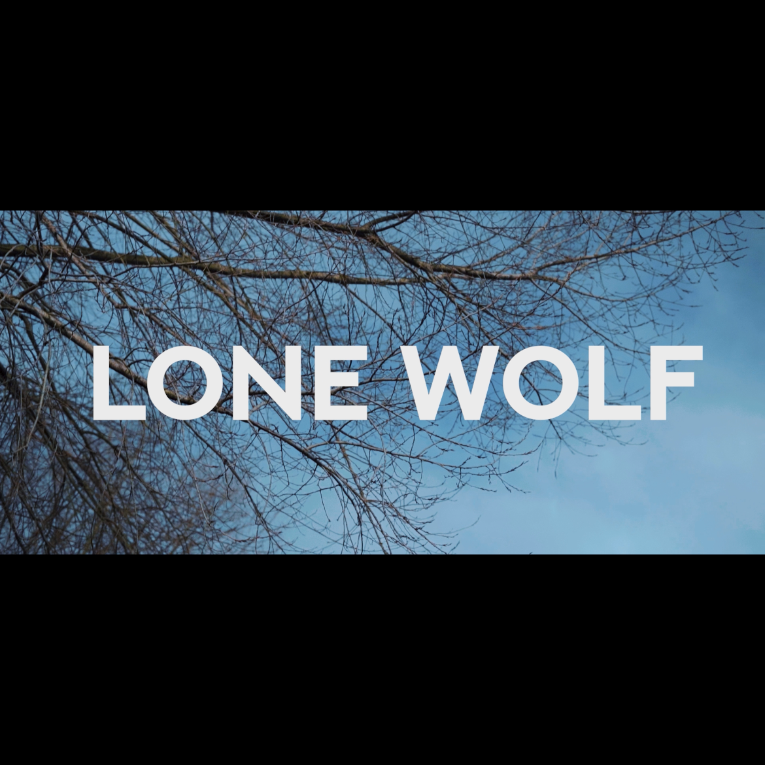 Lonewolf artwork