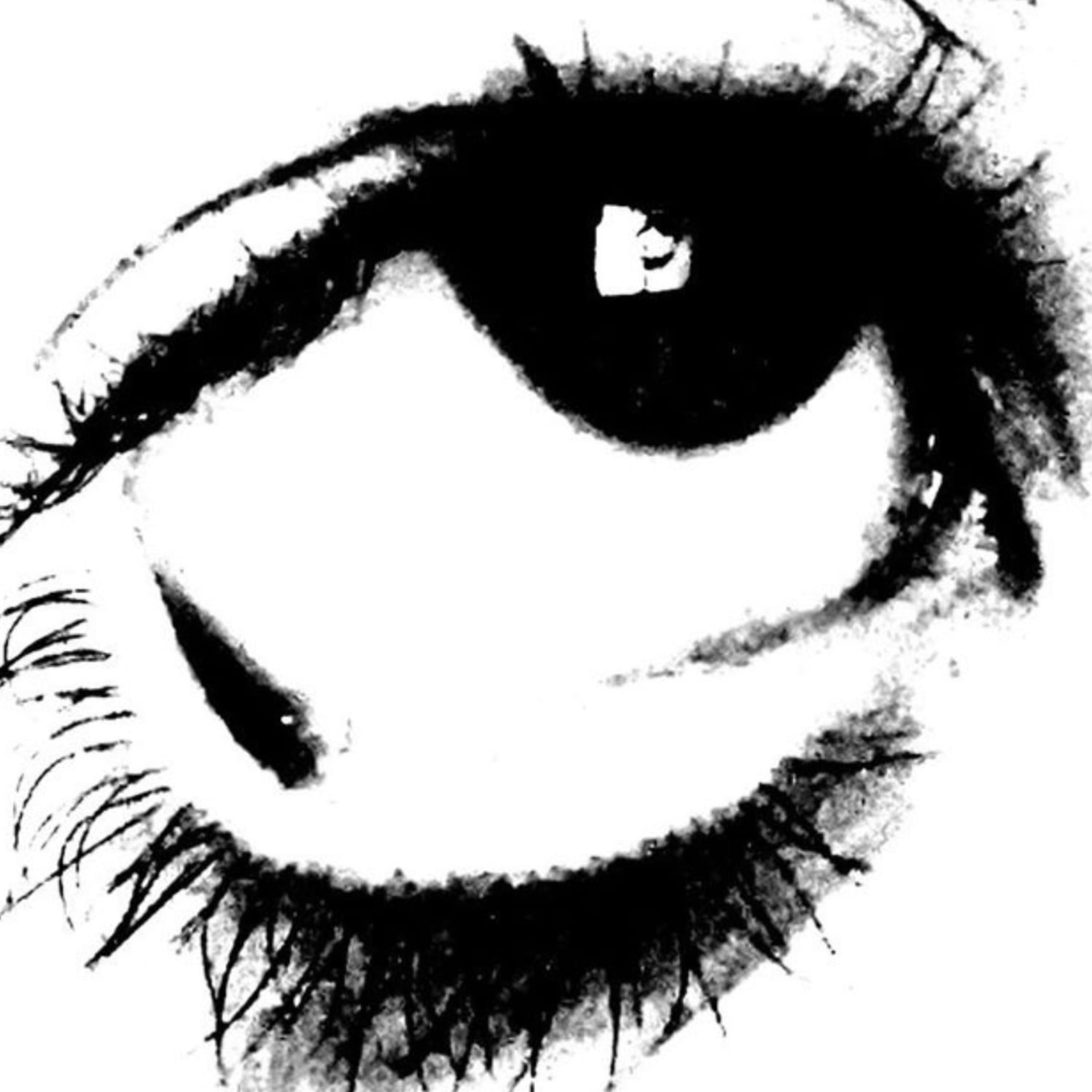 ns pke me bes artwork