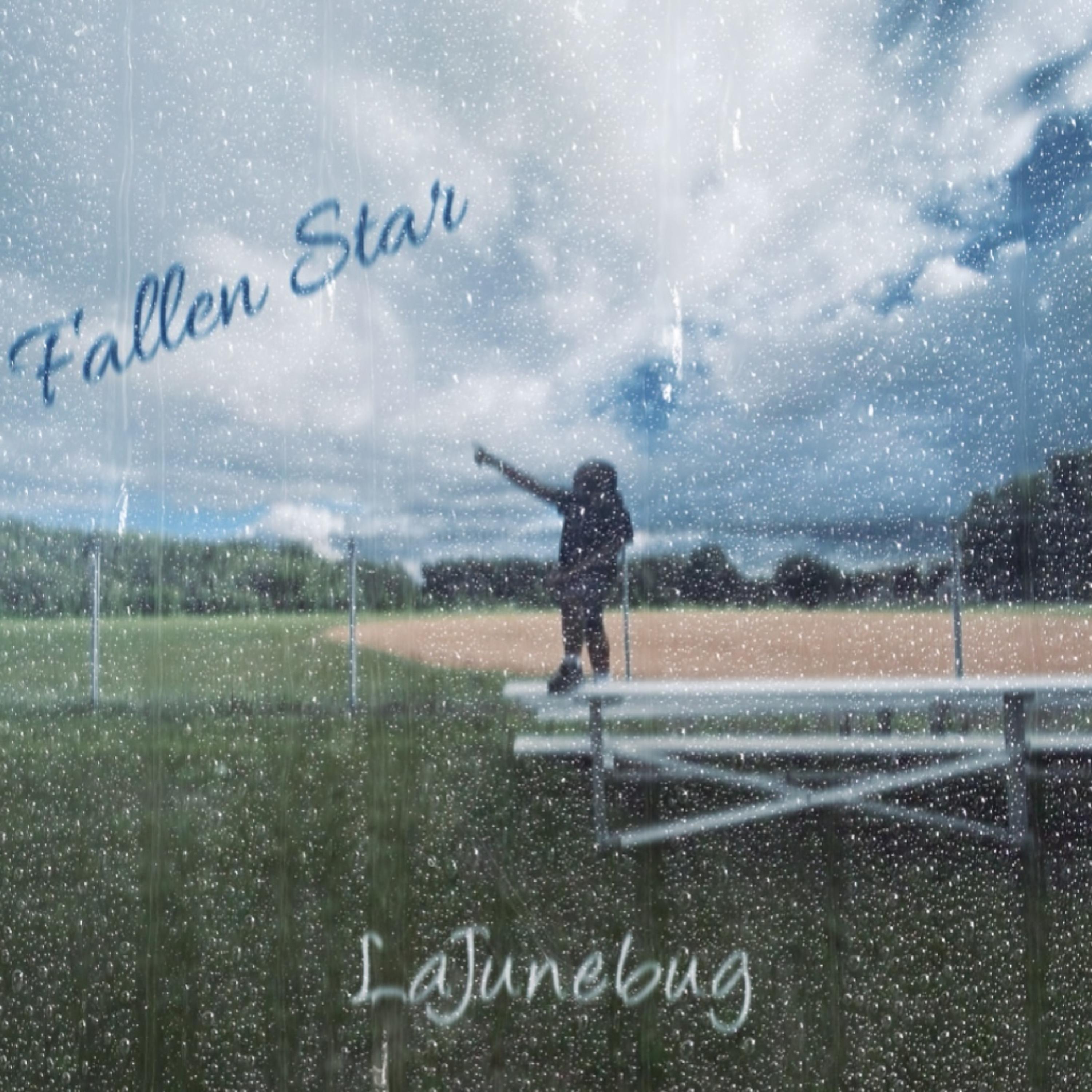 Fallen Star artwork