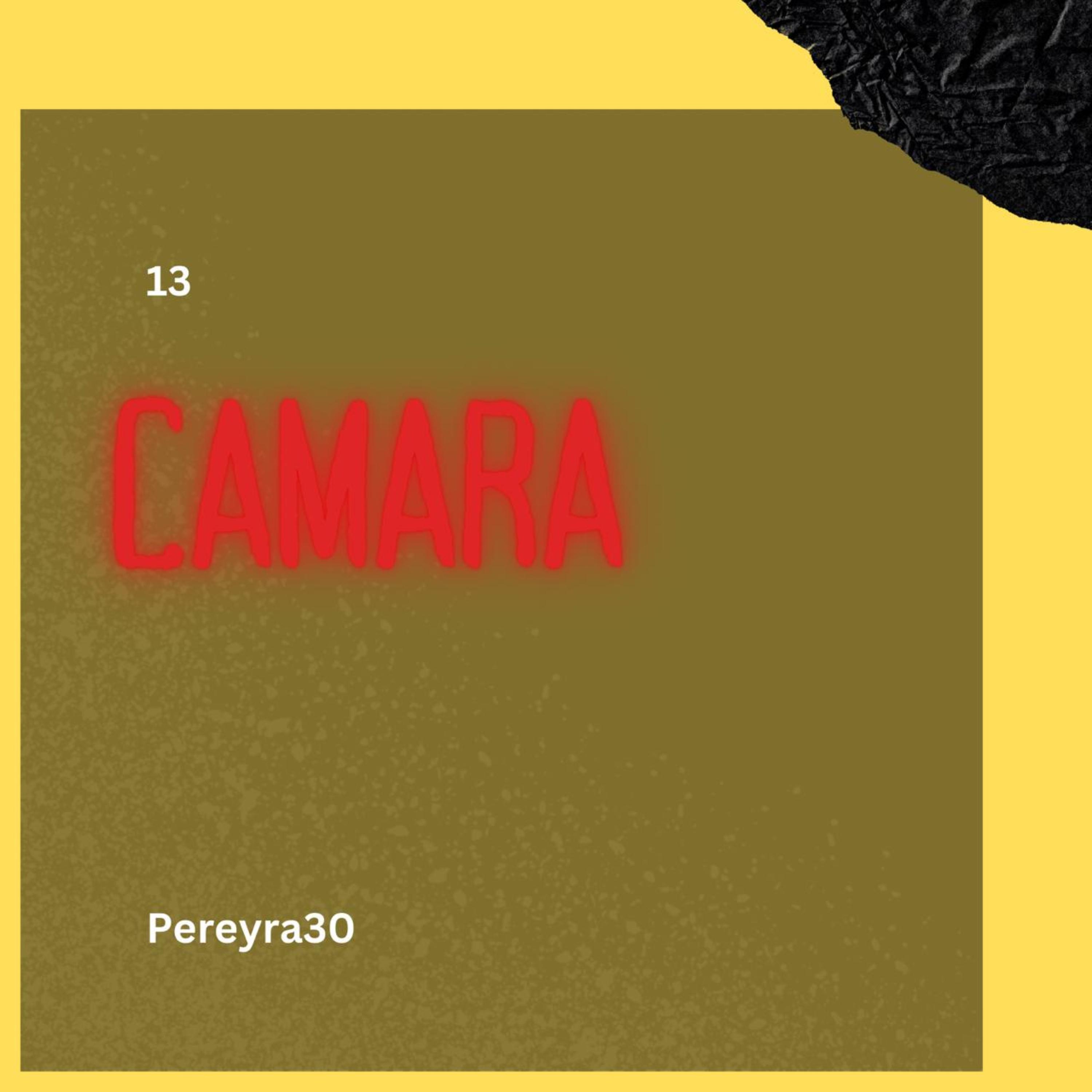 Cámara artwork