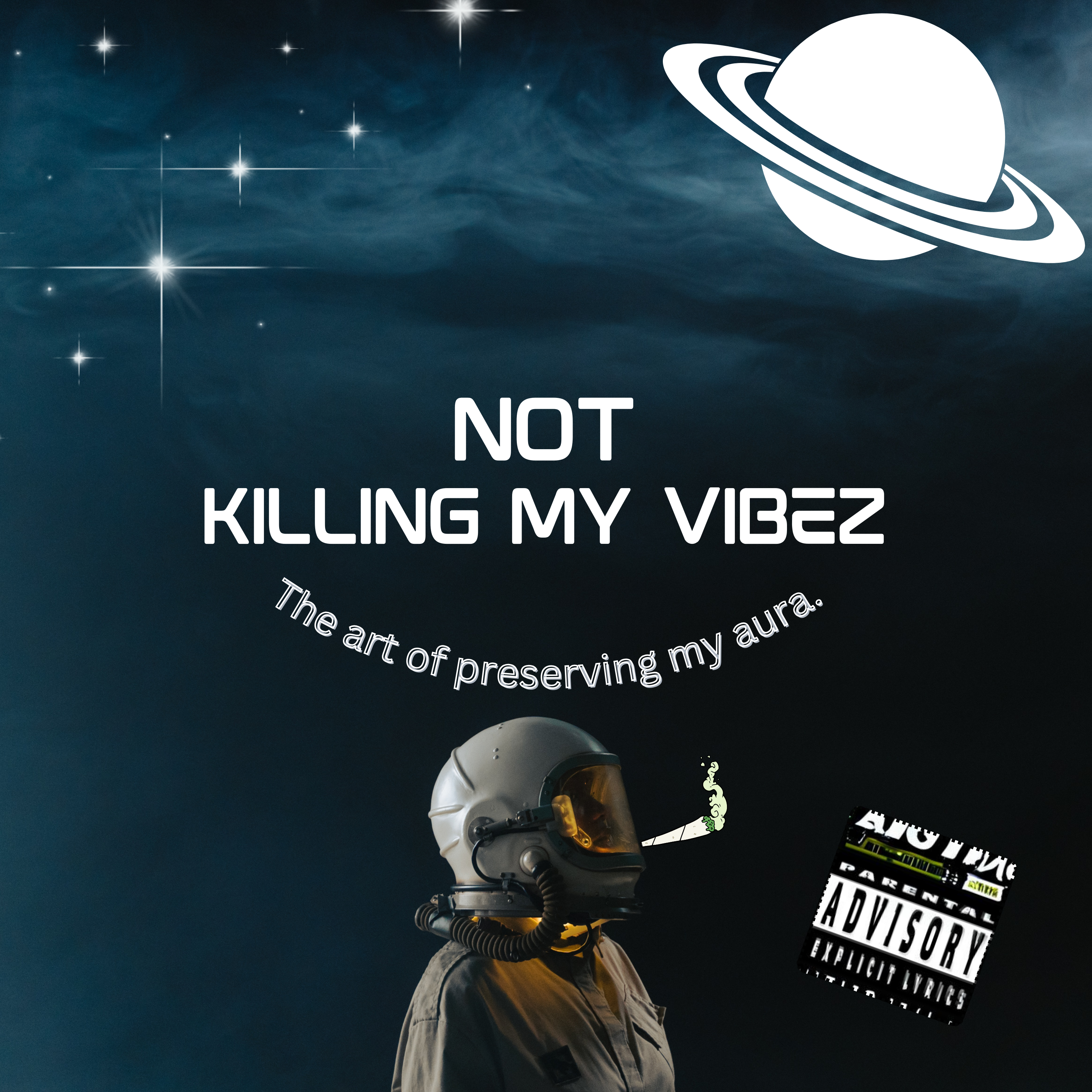 Not Killing My Vibe artwork