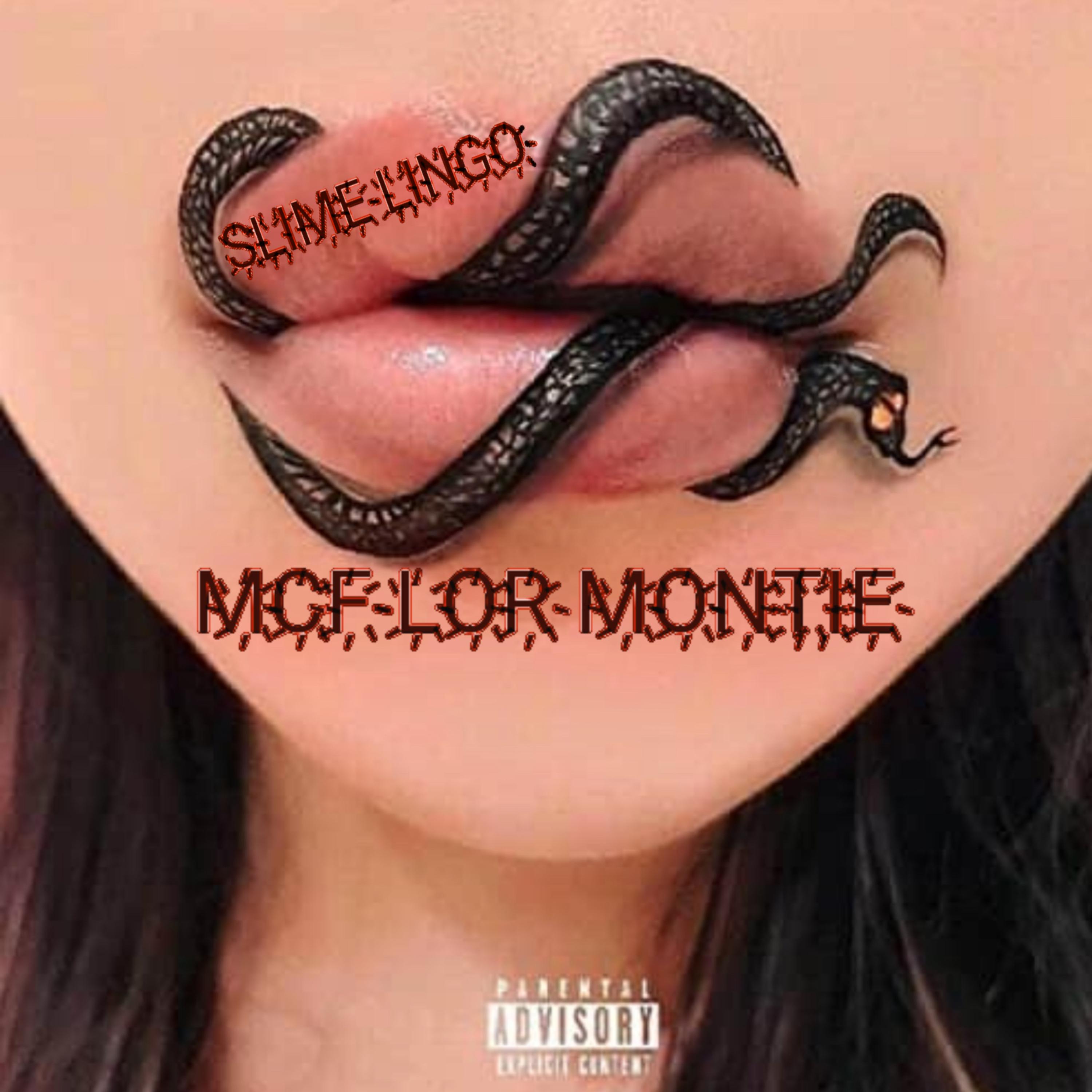 Slime Lingo artwork