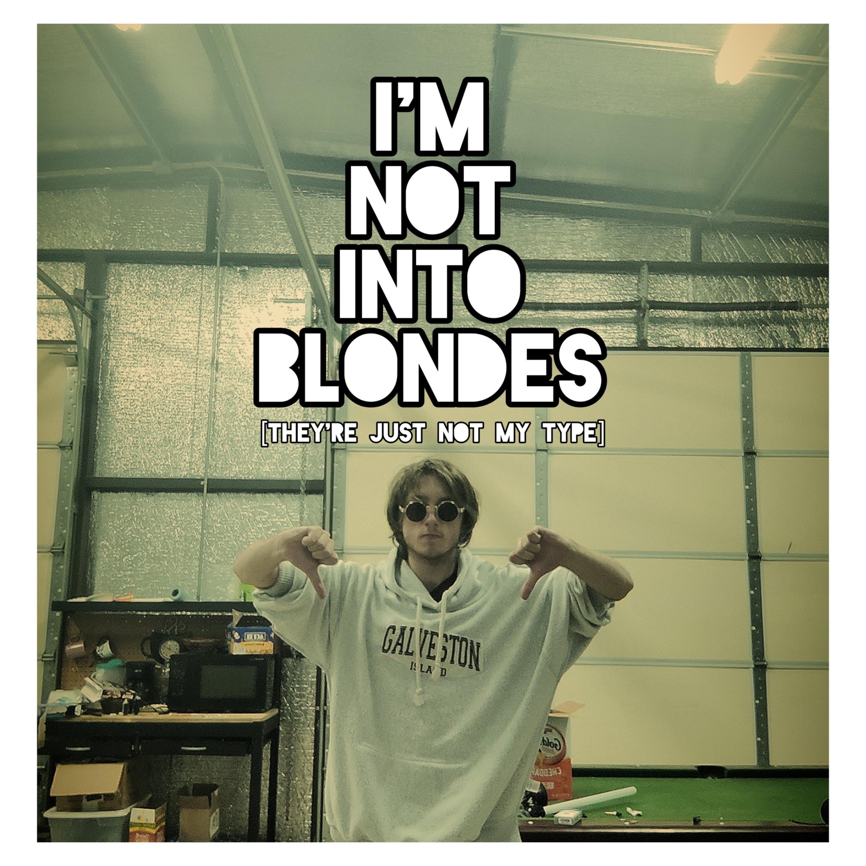 I'm Not Into Blondes [They're Just Not my Type] artwork