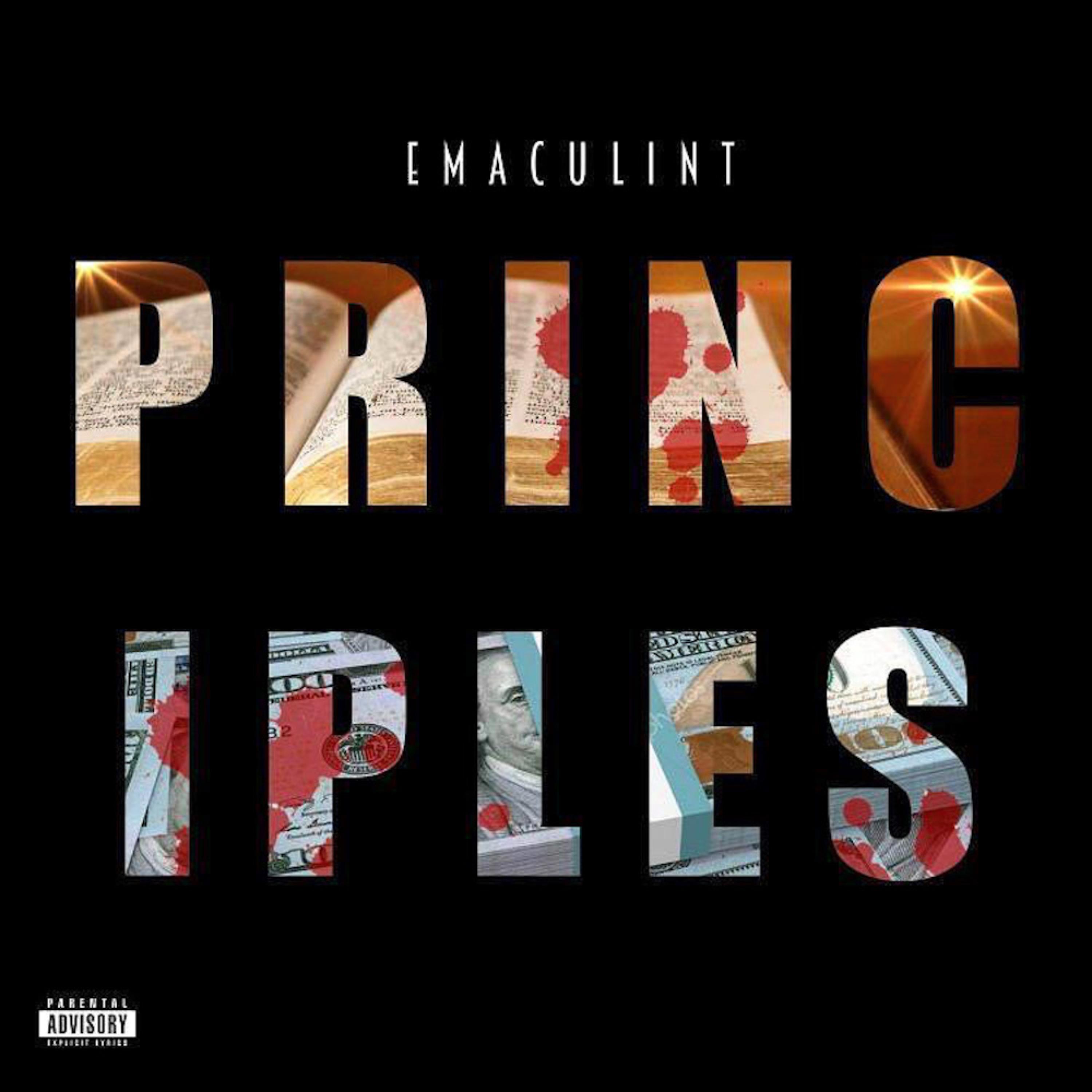 Principles artwork