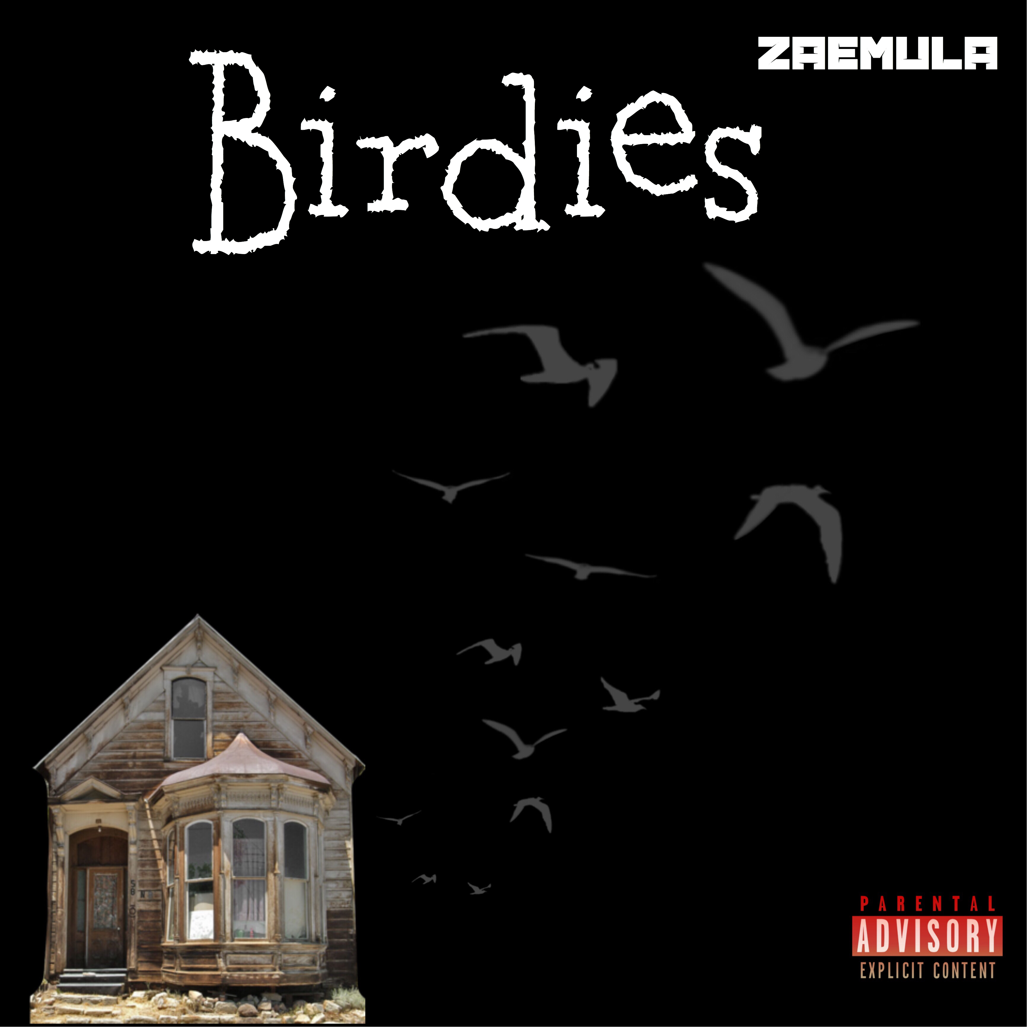Birdies artwork