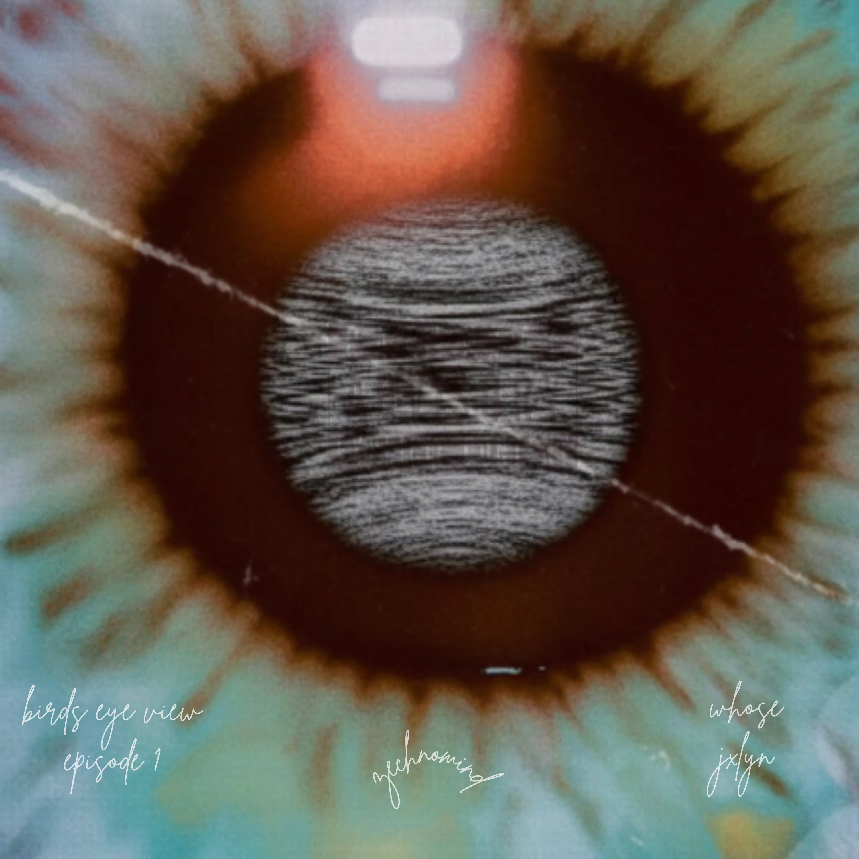 Birds Eye View Episode 1 by Zechnomind cover art