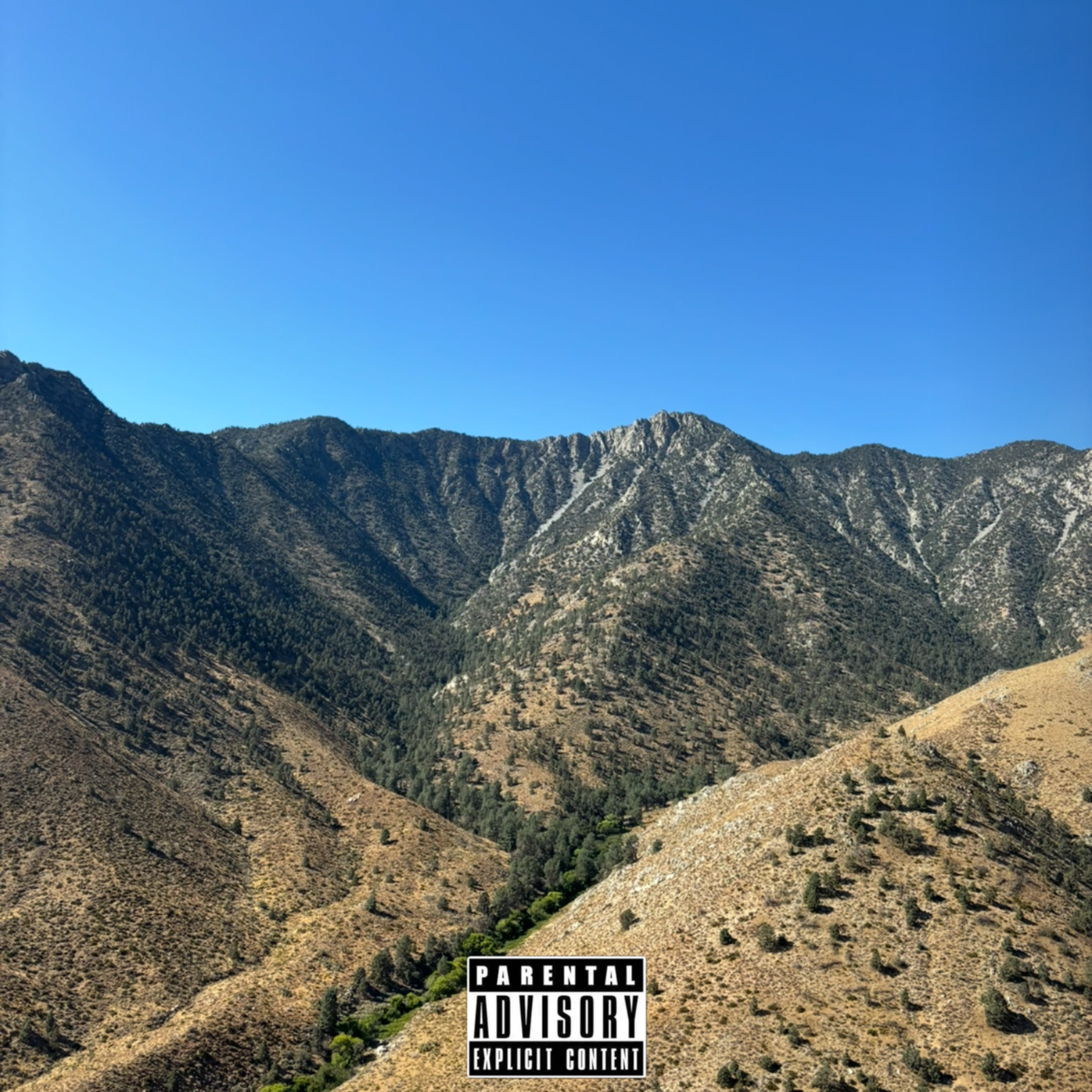 Niggas Want 2 See Me Dead artwork