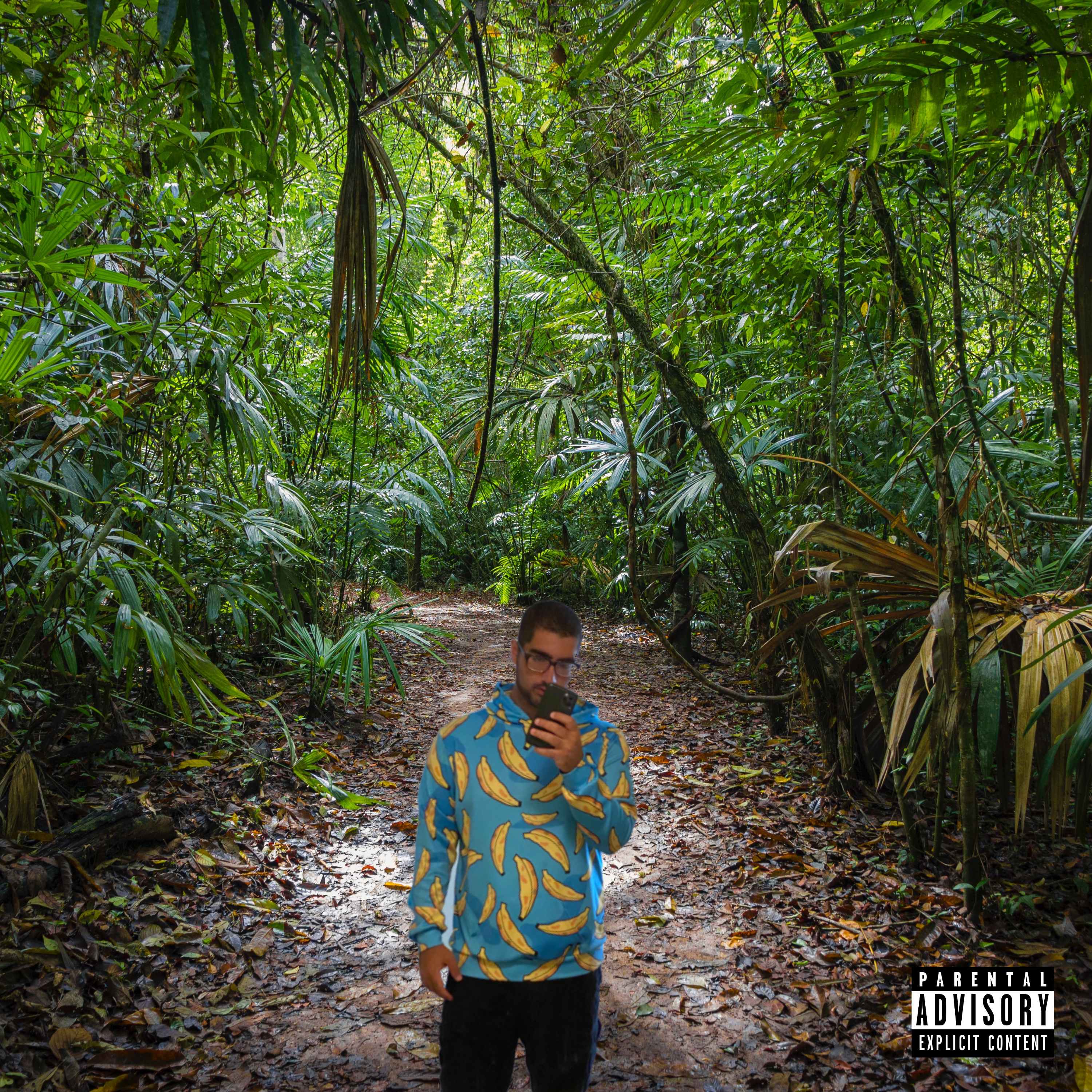 The Jungle Tape (Deluxe Version) artwork