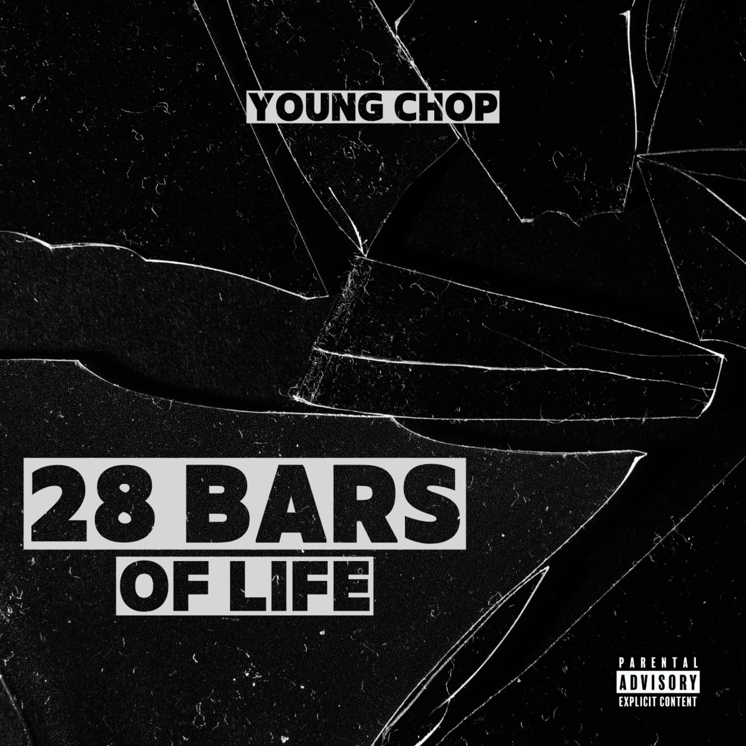 28 Bars of Life artwork