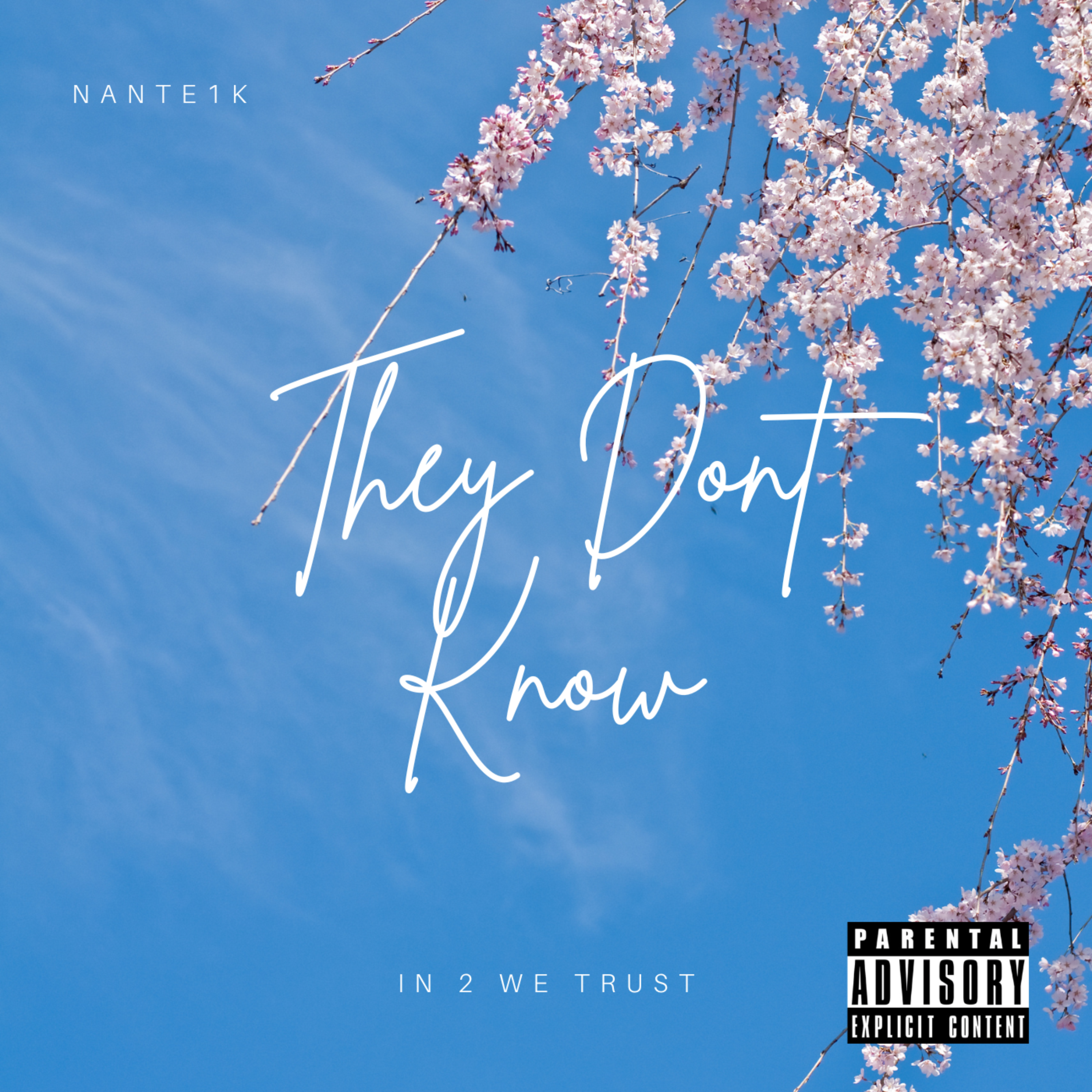 THEY DONT KNOW artwork