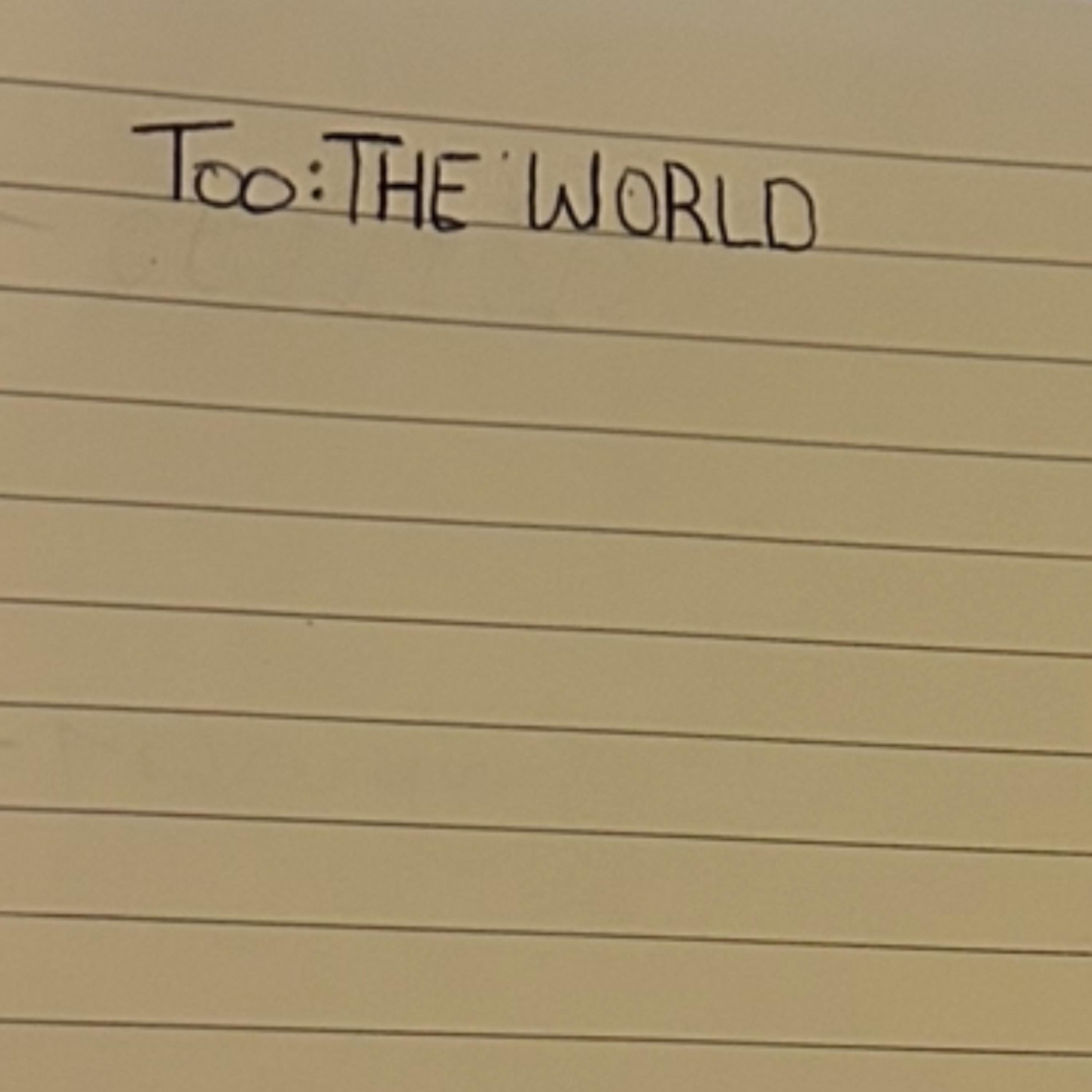 Too: The World artwork