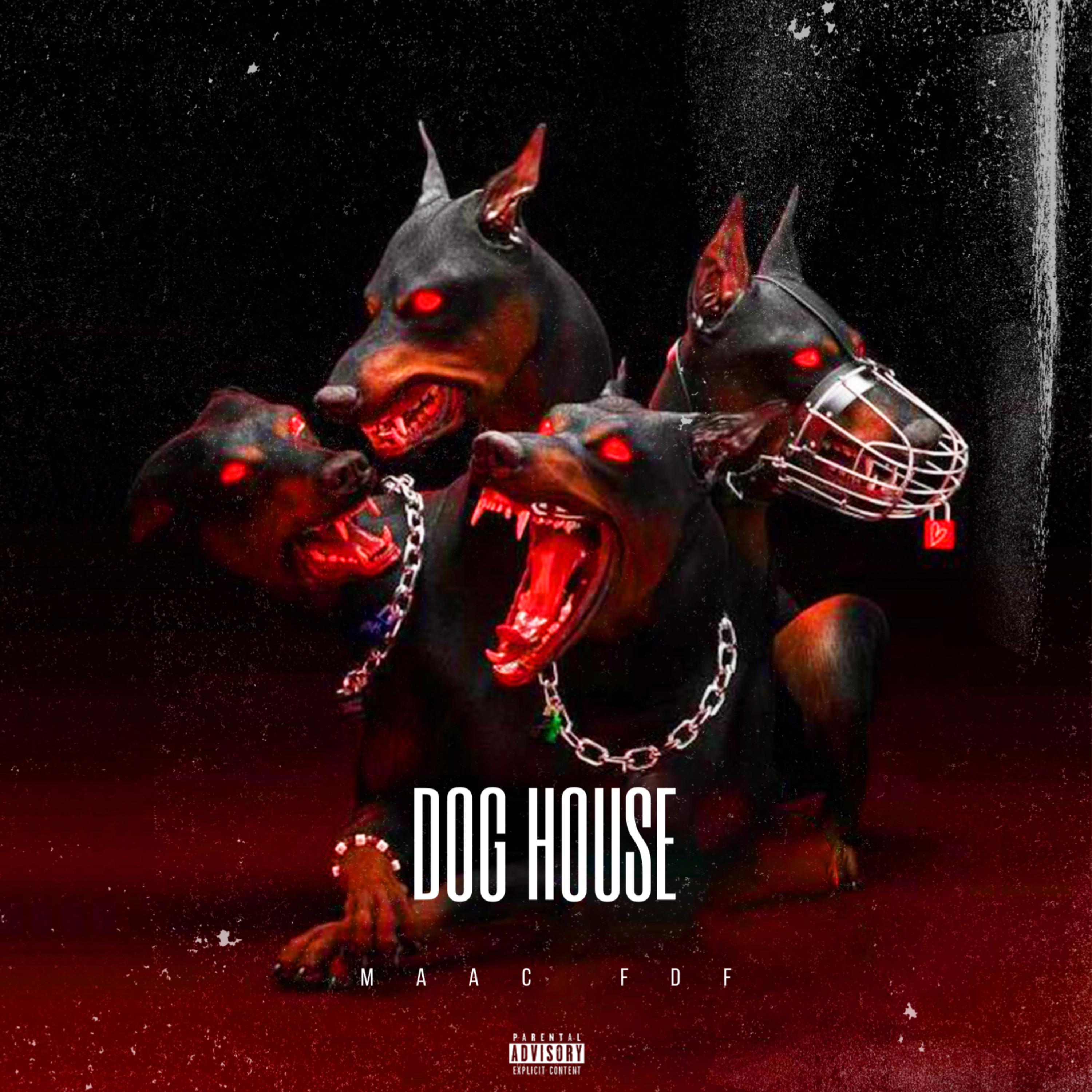 Dog House artwork