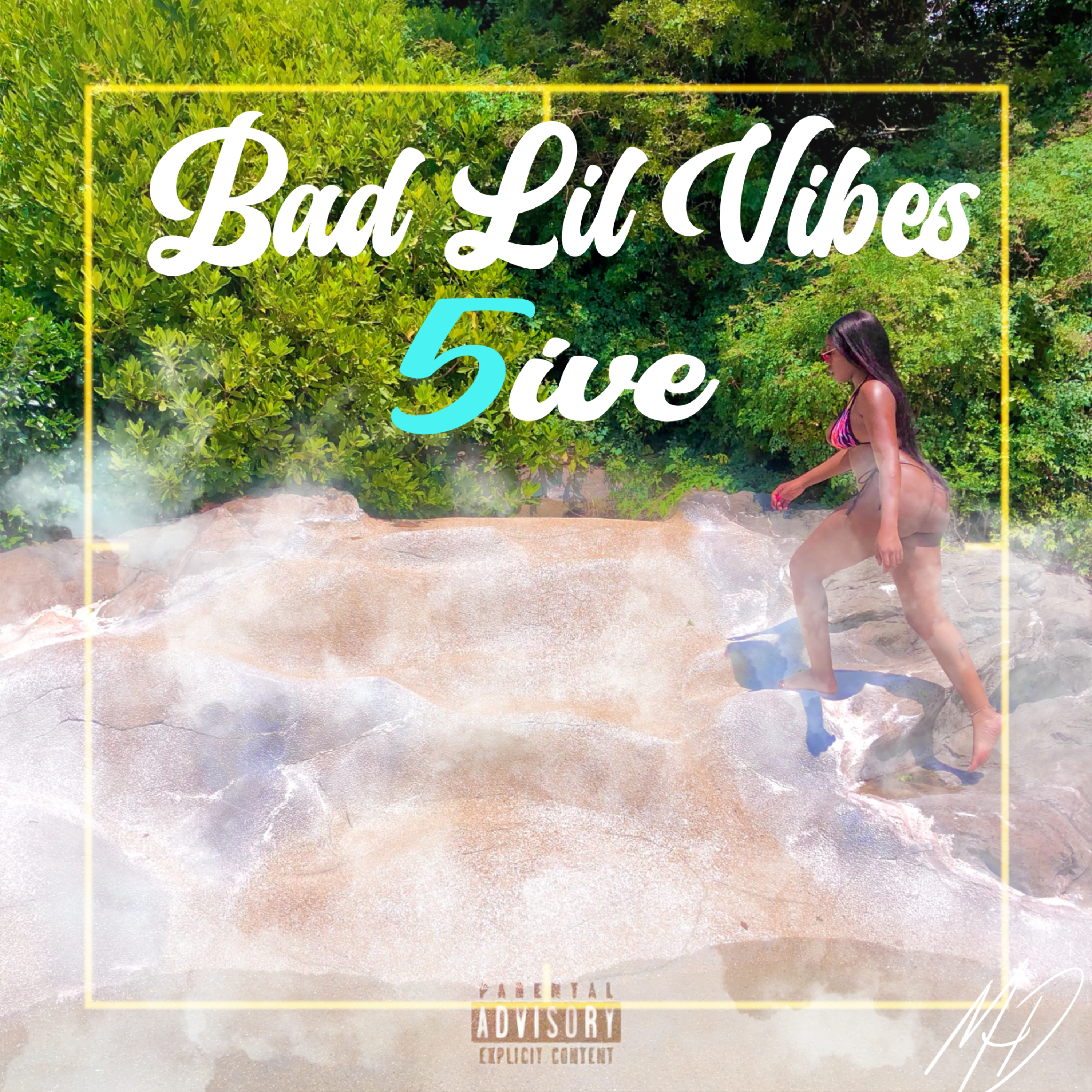 Bad Lil Vibes artwork