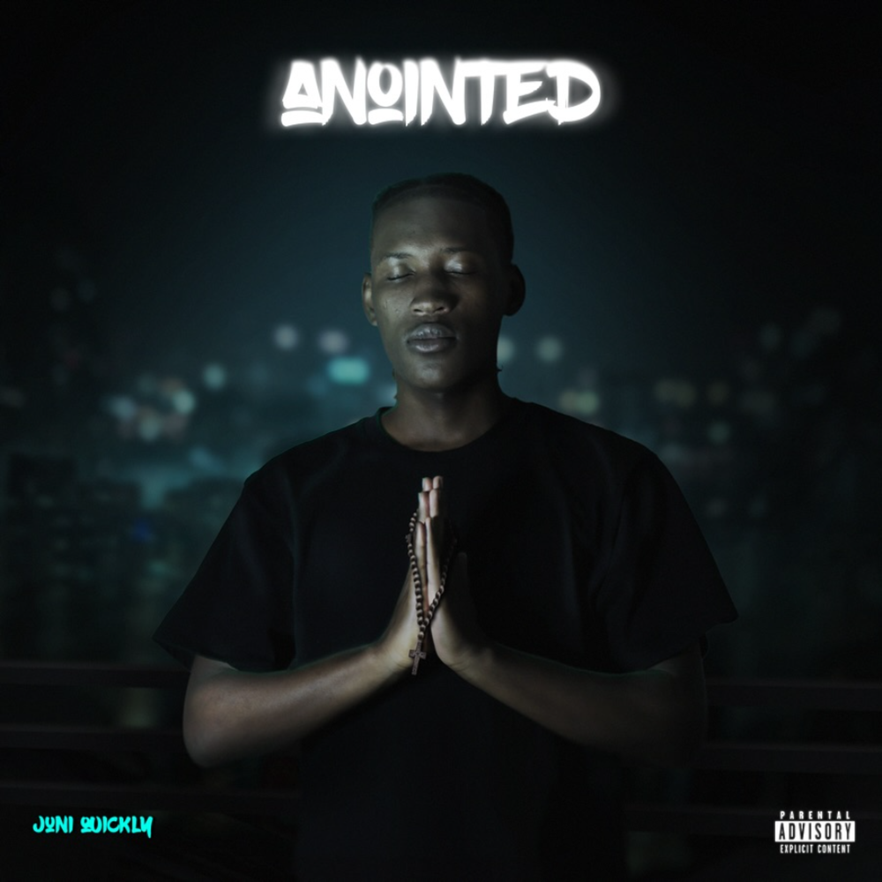 NOINTED by JUNI QUICKLY cover art