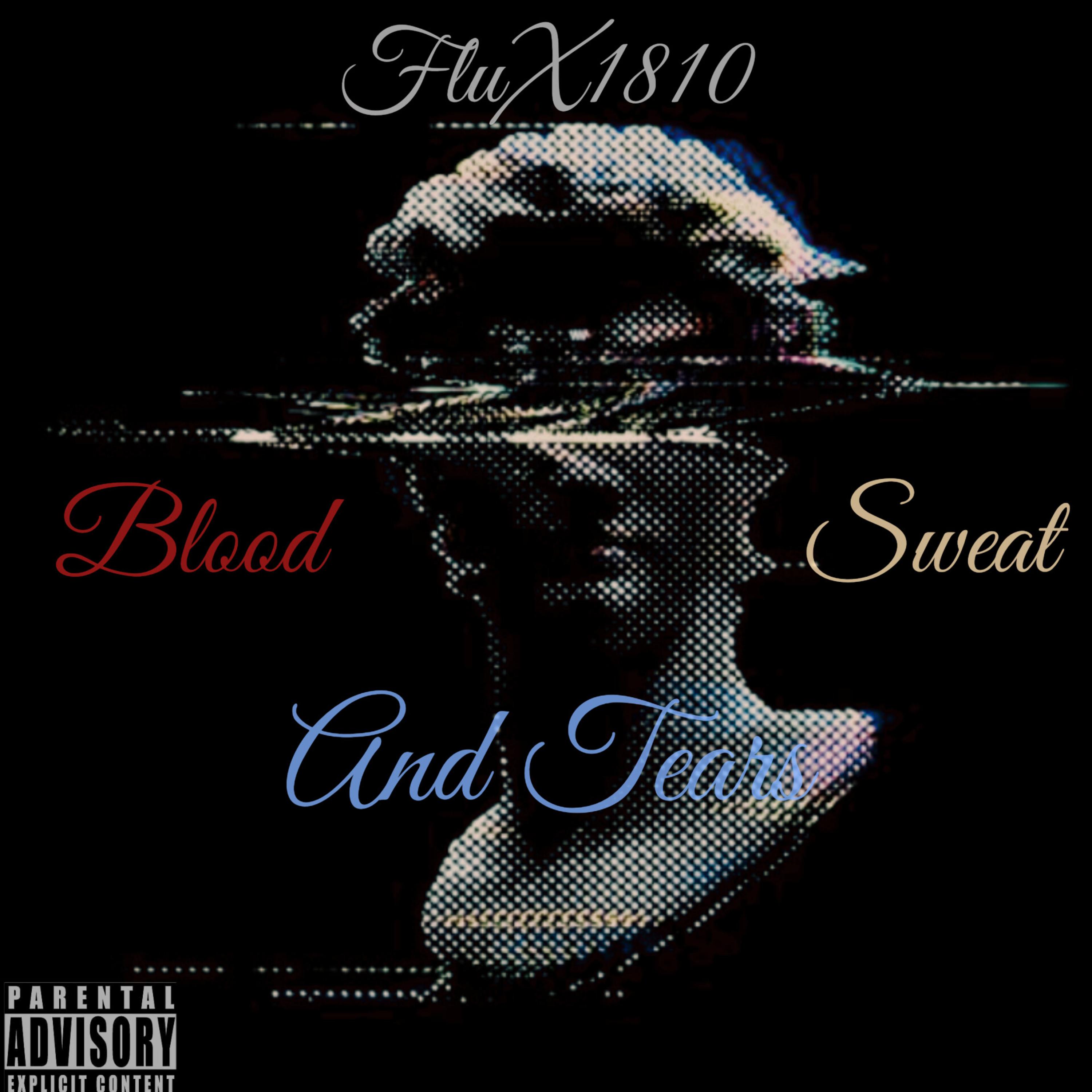 Blood Sweat And Tears artwork