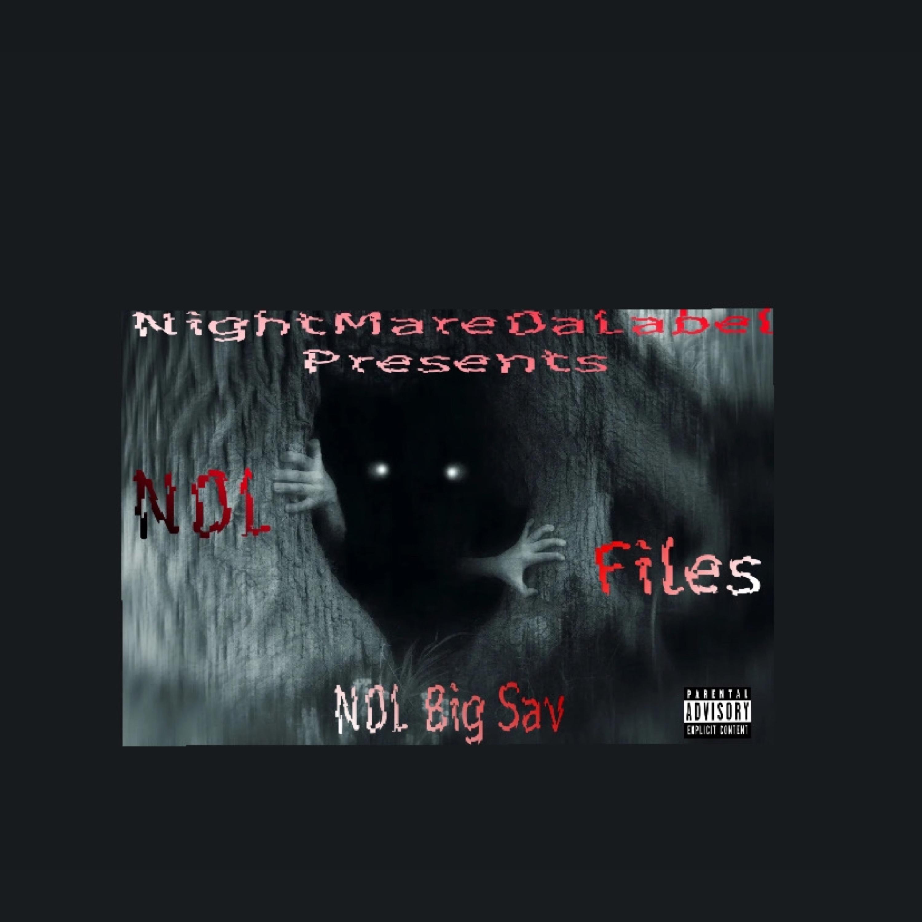 NDL Files artwork
