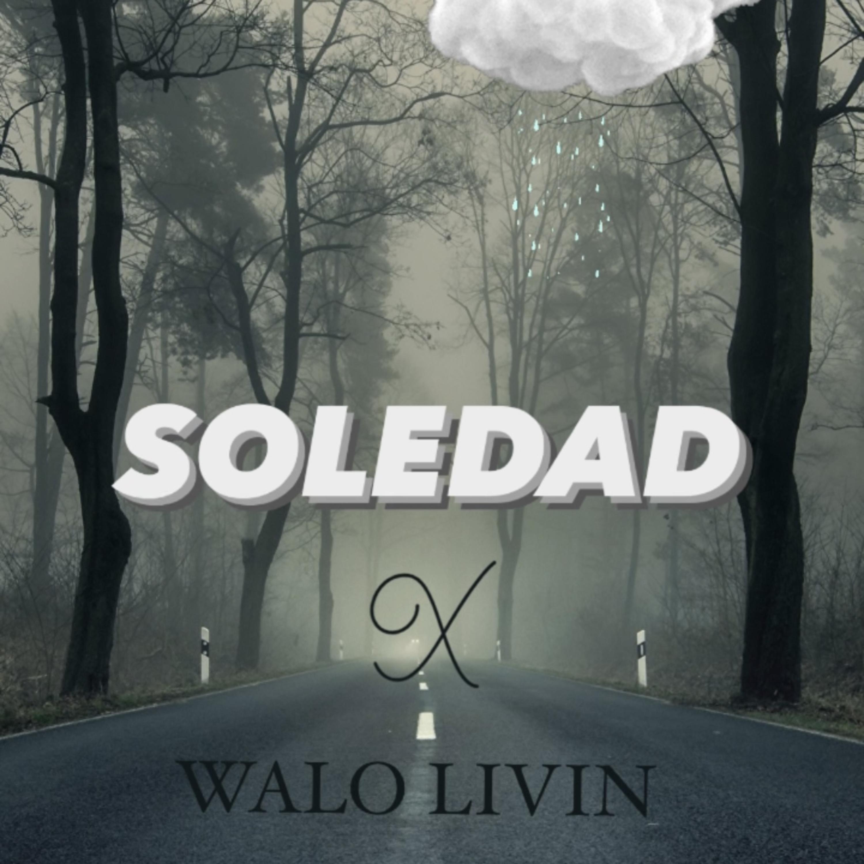 Soledad artwork