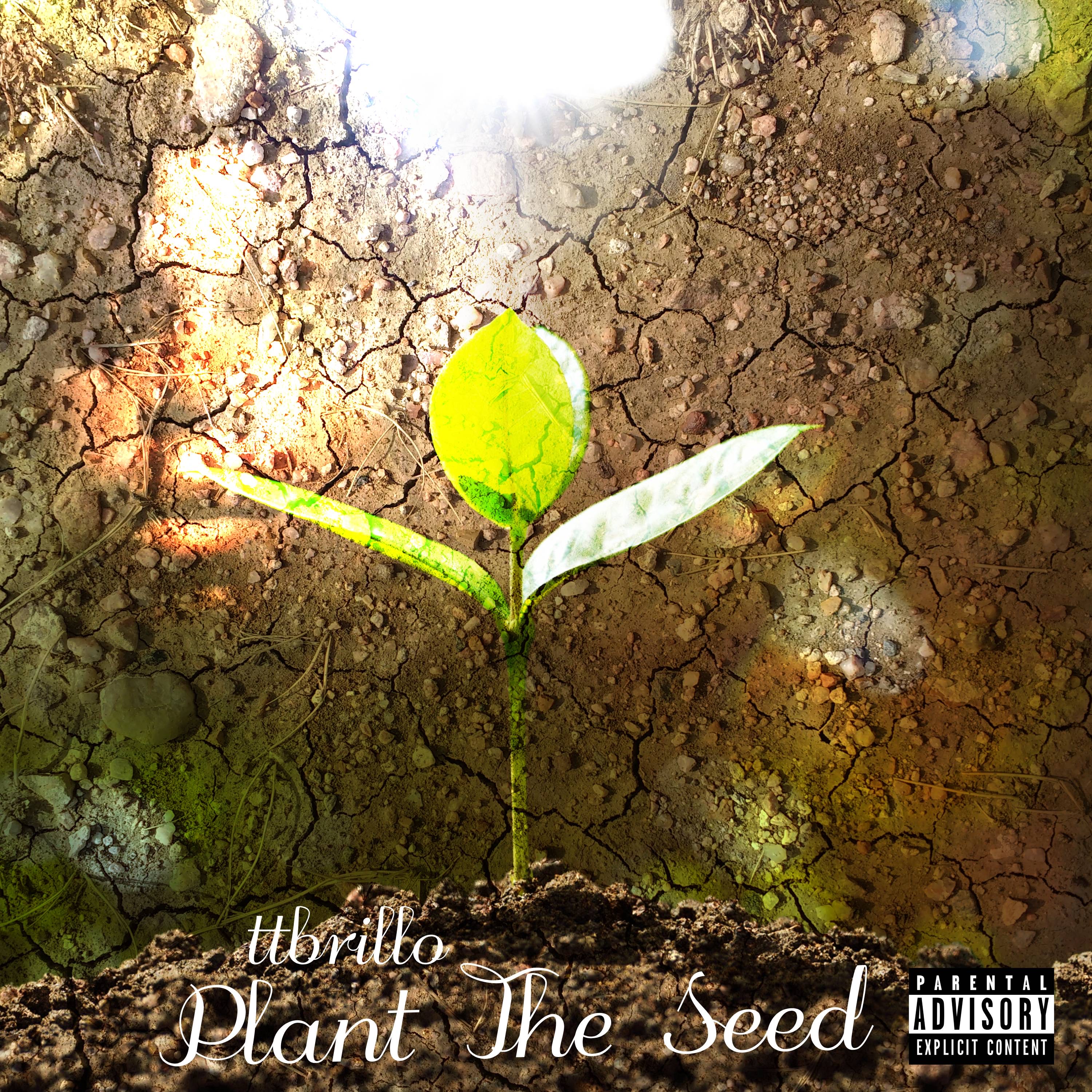 PLANT THE SEED! artwork