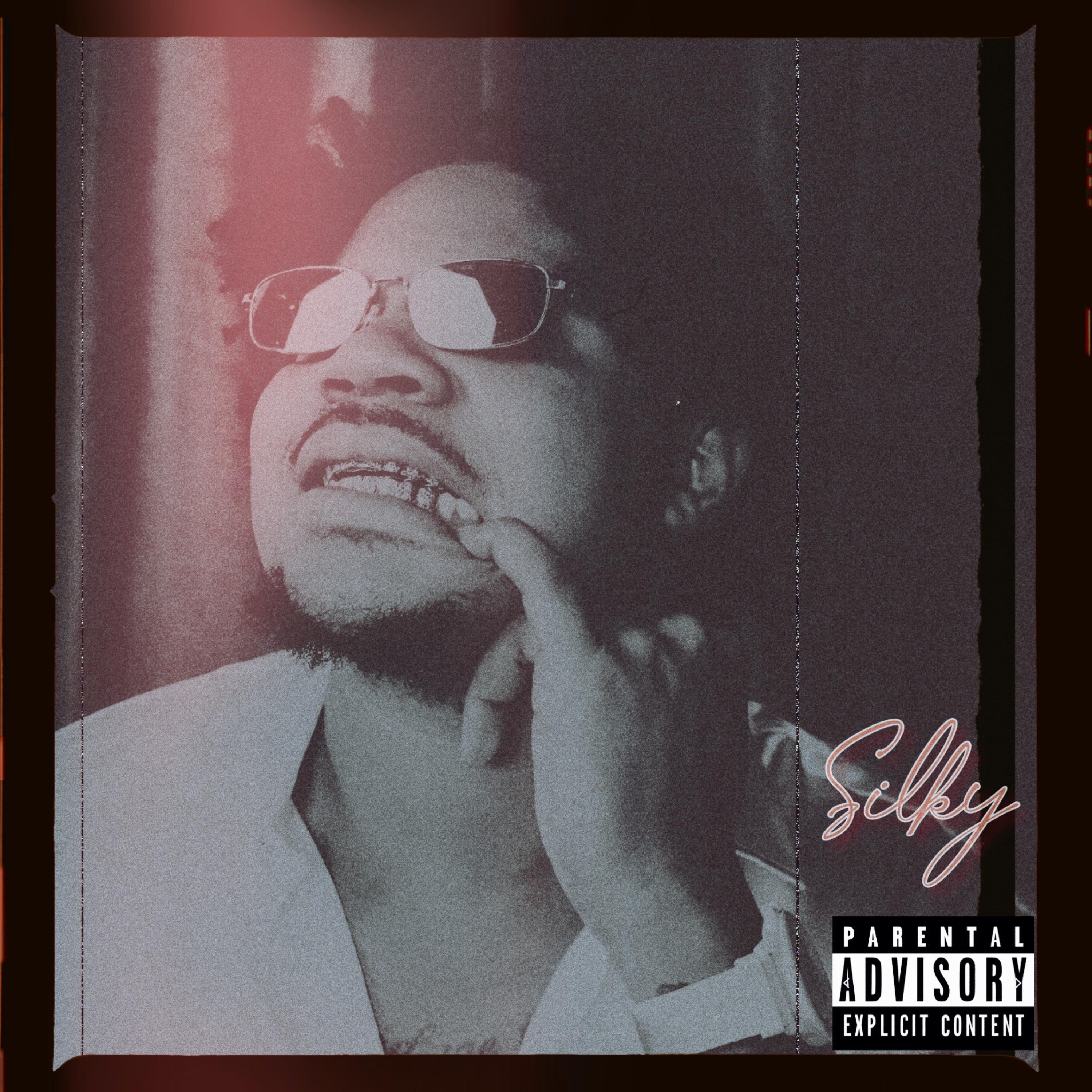 Silky by Silk West cover art