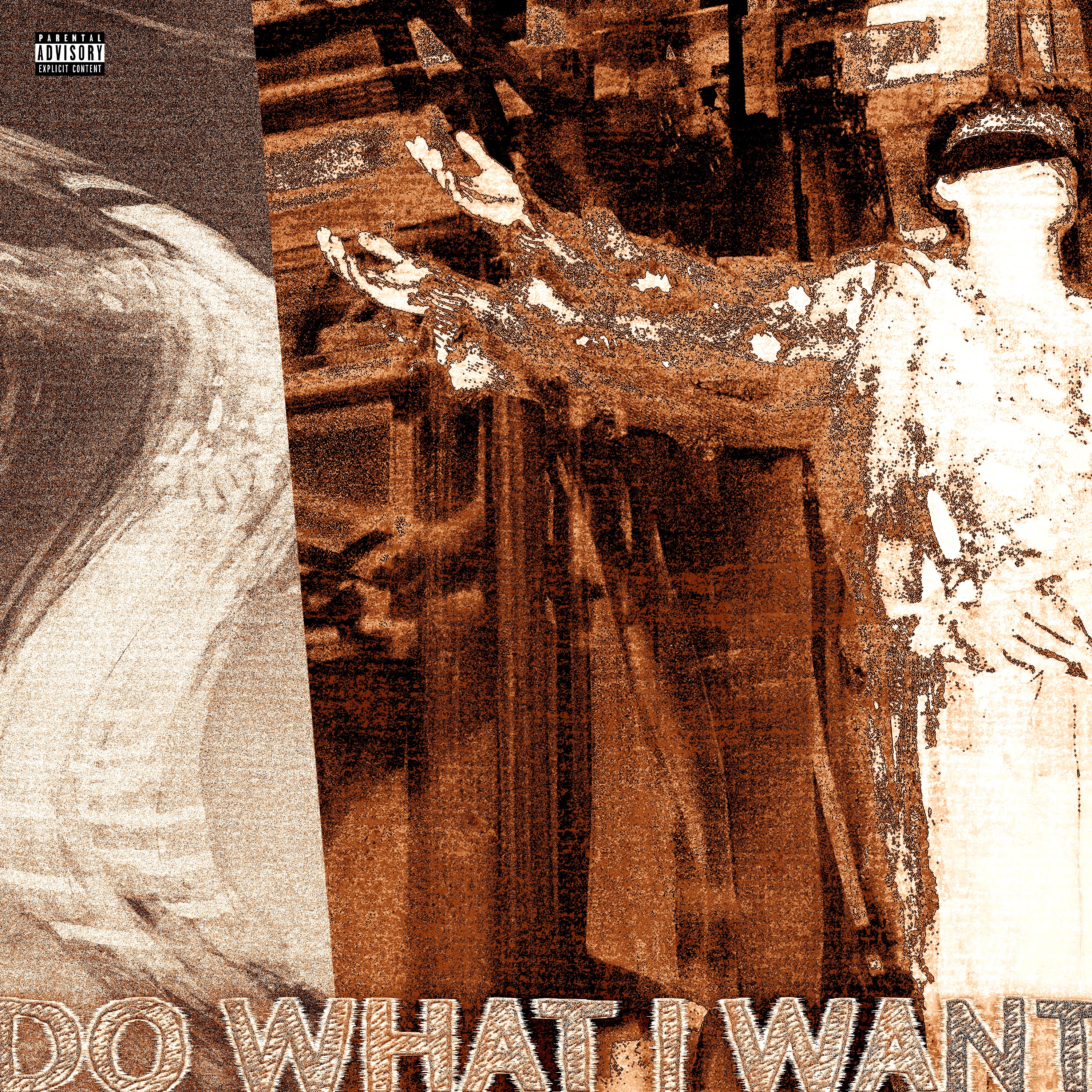 Do What I Want artwork