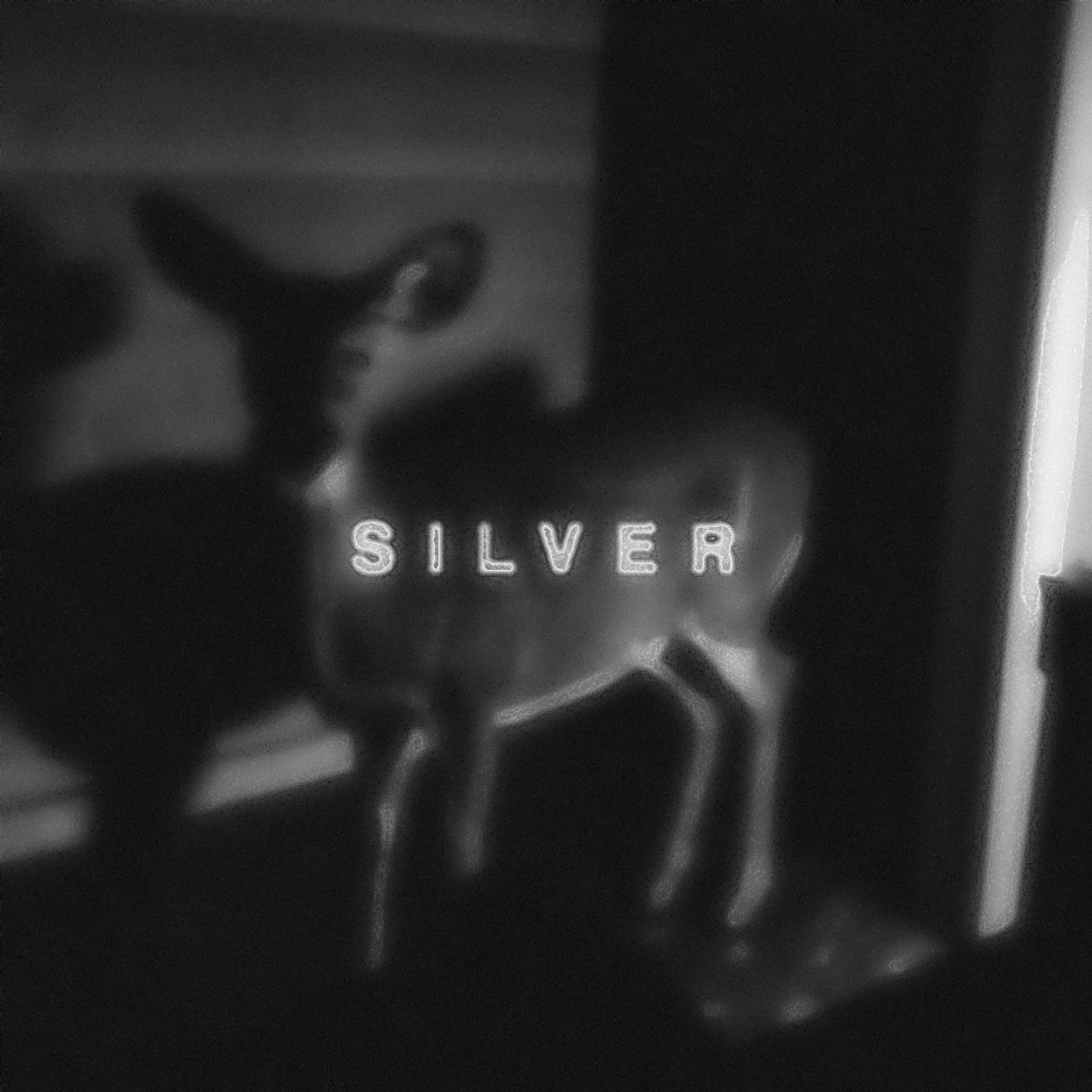 SILVER artwork