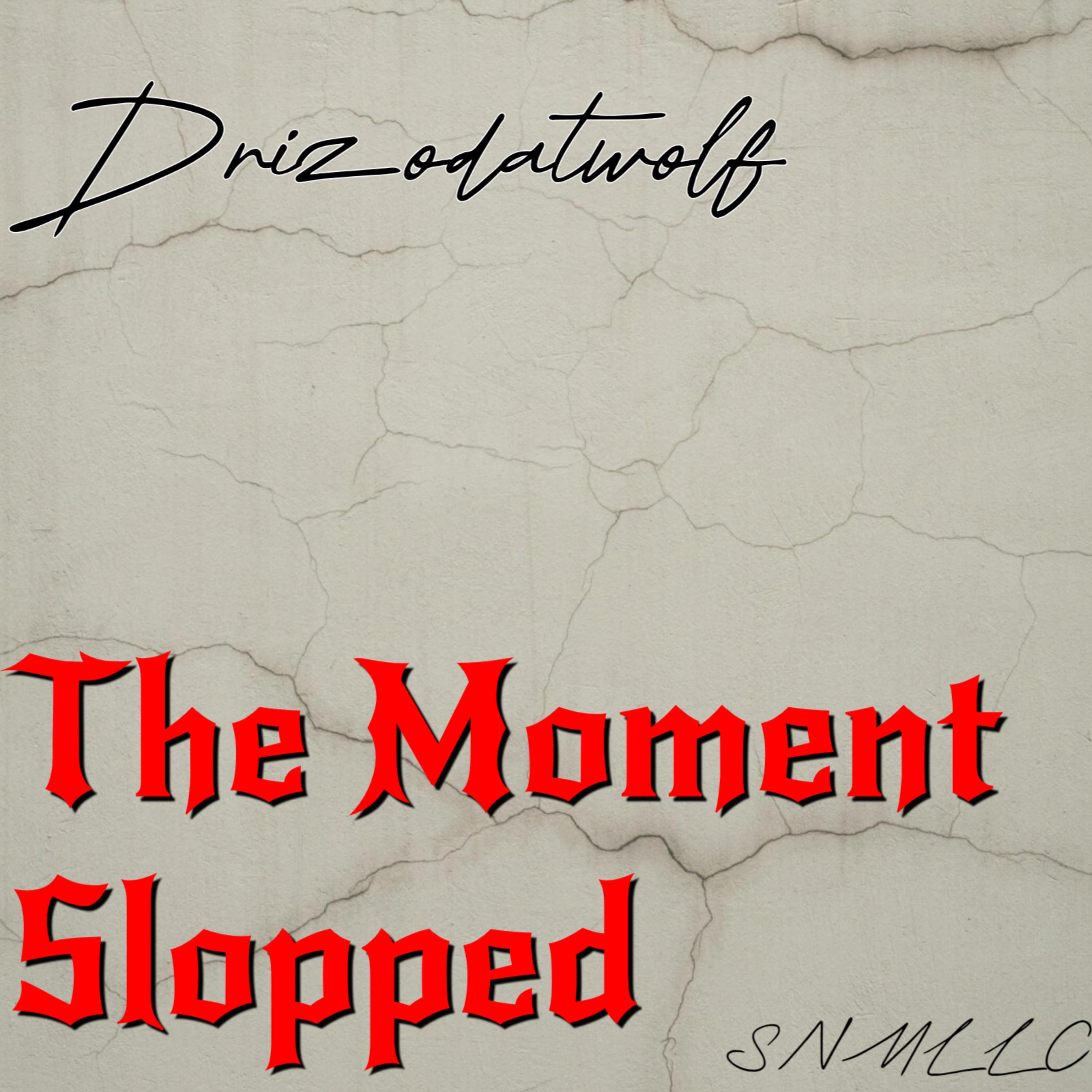 The Moment Slopped artwork