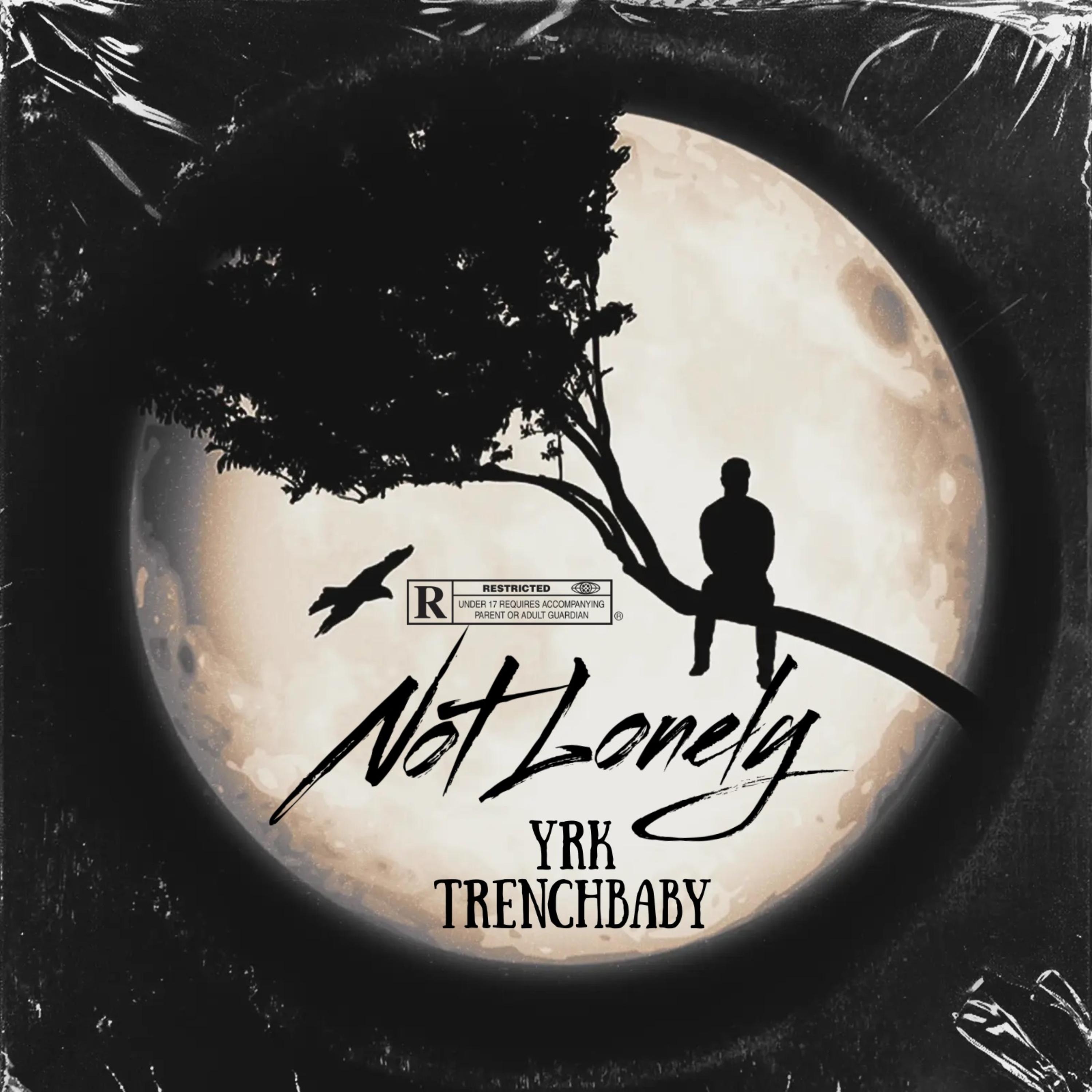 Not Lonely by YRK TrenchBaby cover art