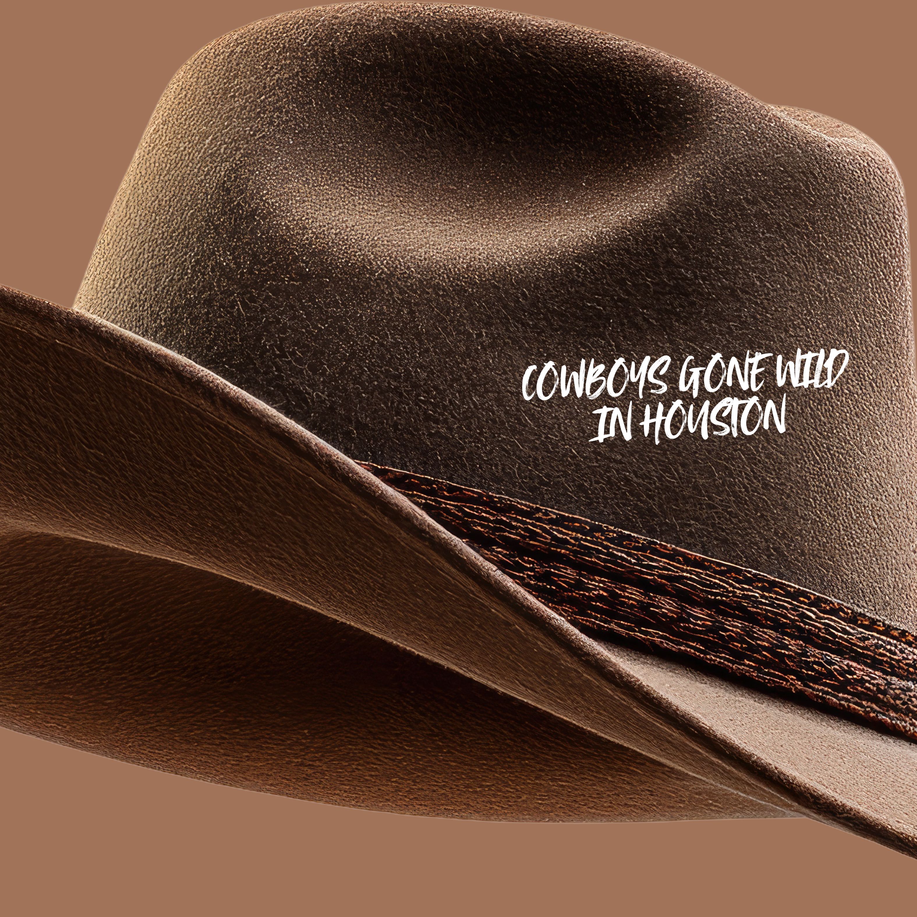COWBOYS GONE WILD IN HOUSTON artwork