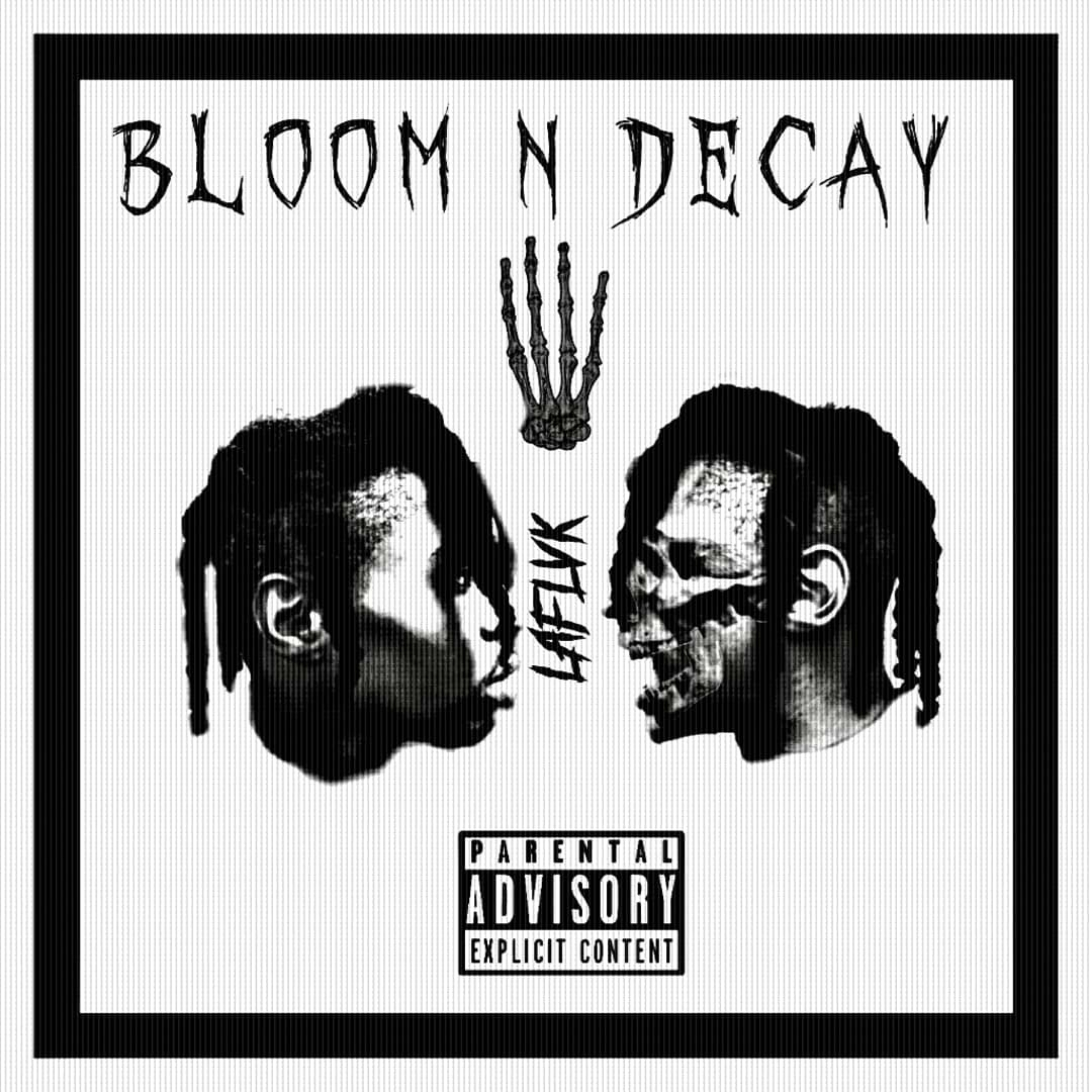 Bloom N Decay 4 artwork