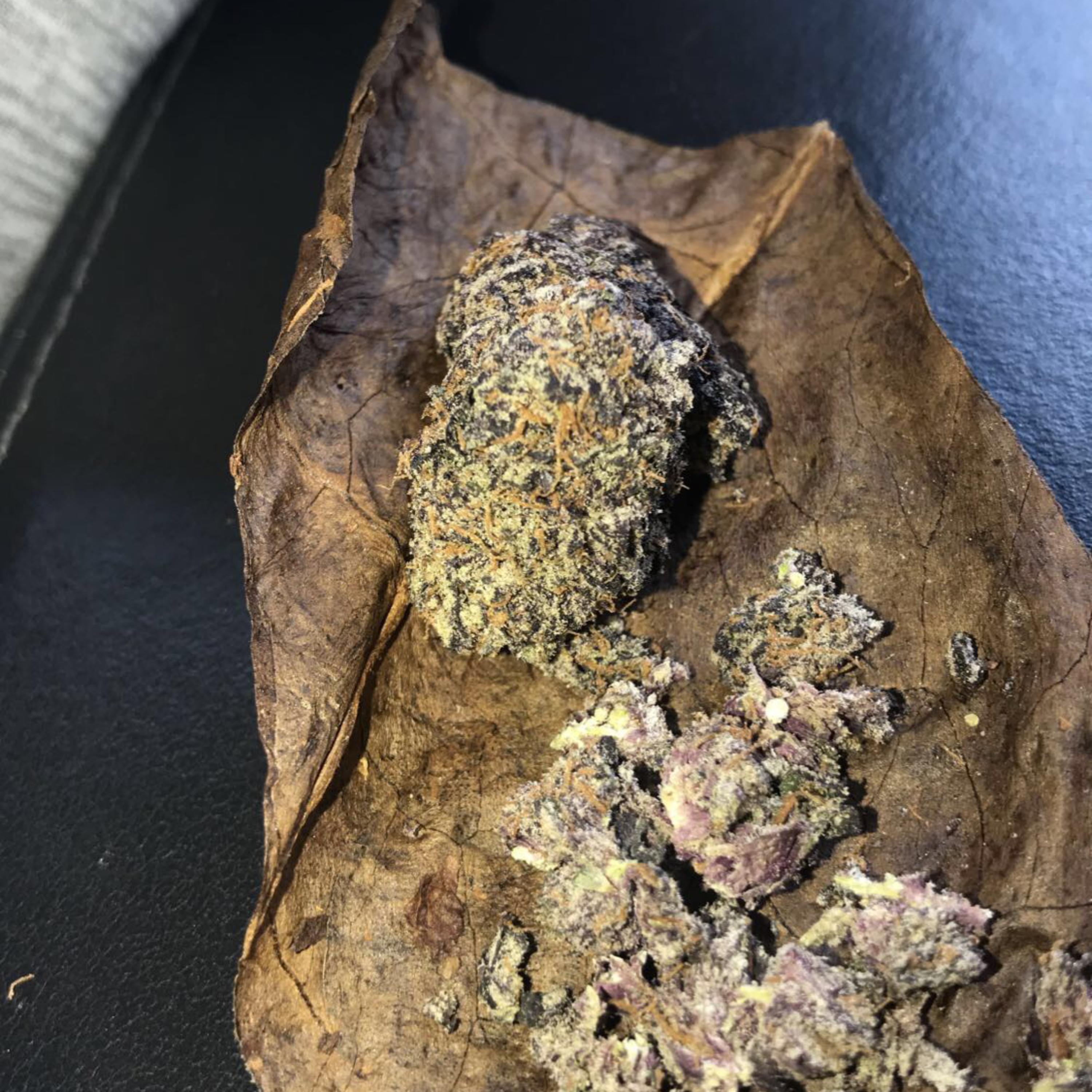 Fast N Furious artwork