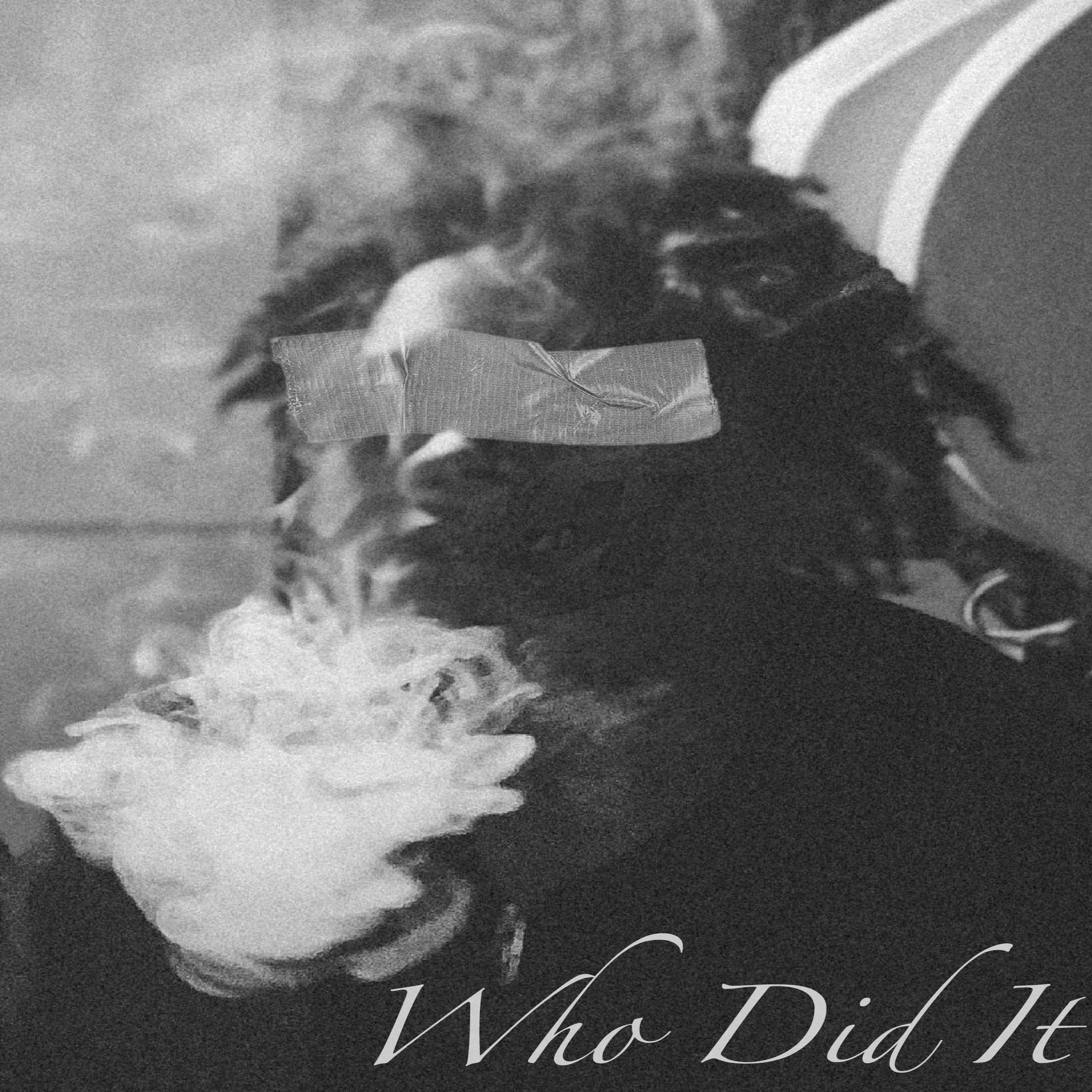 Who Did It? artwork