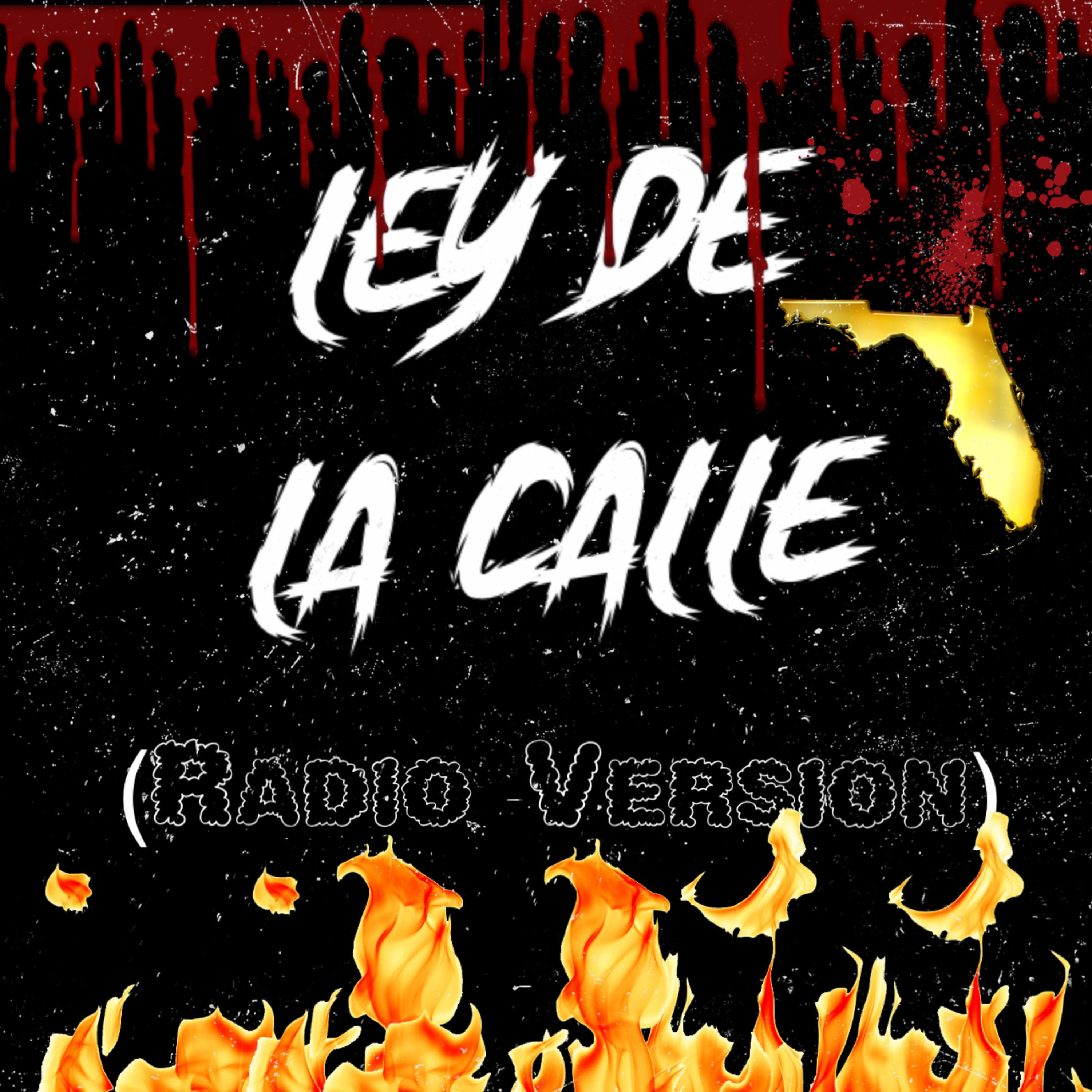 Ley D la calle (Radio Version) artwork