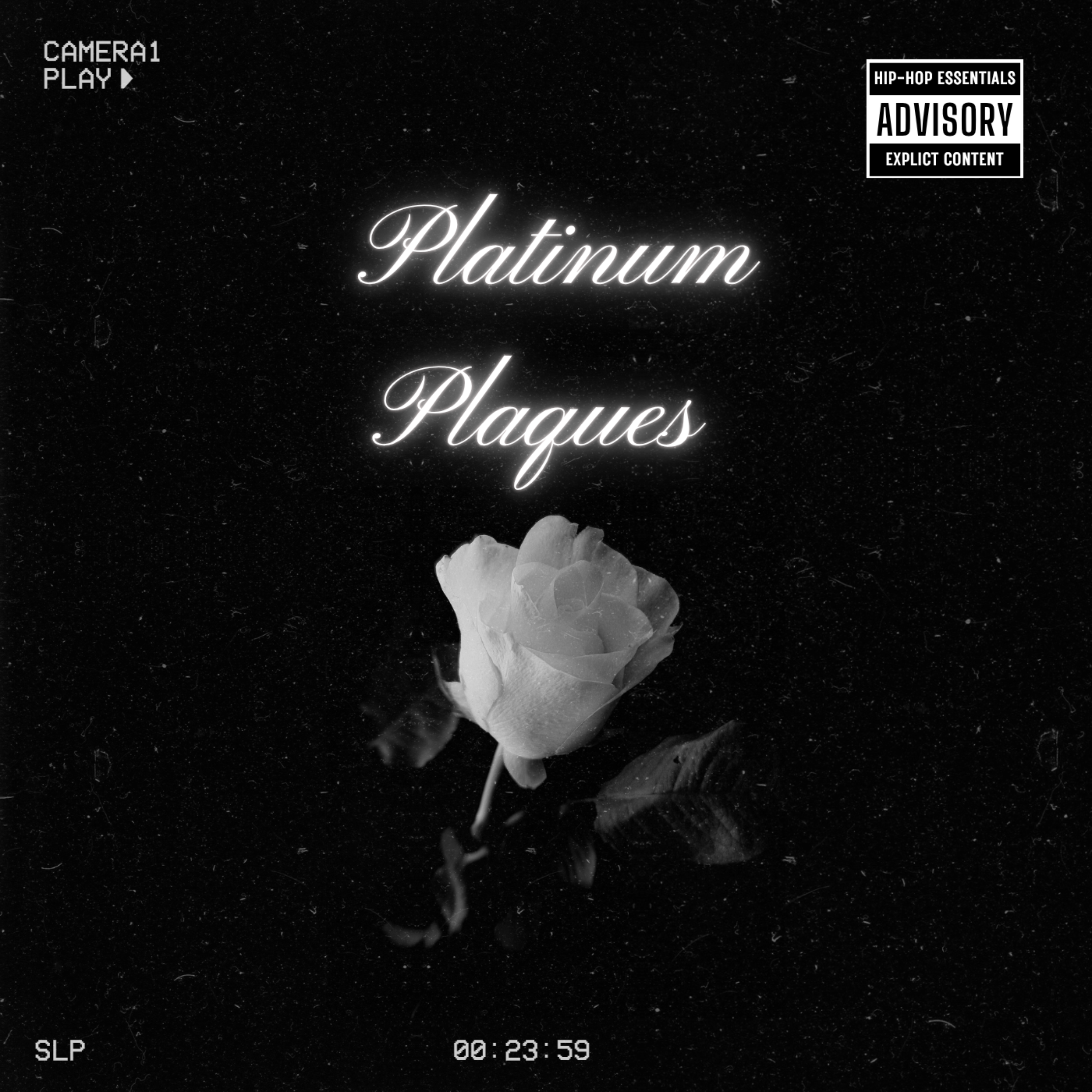 Platinum Plaques artwork