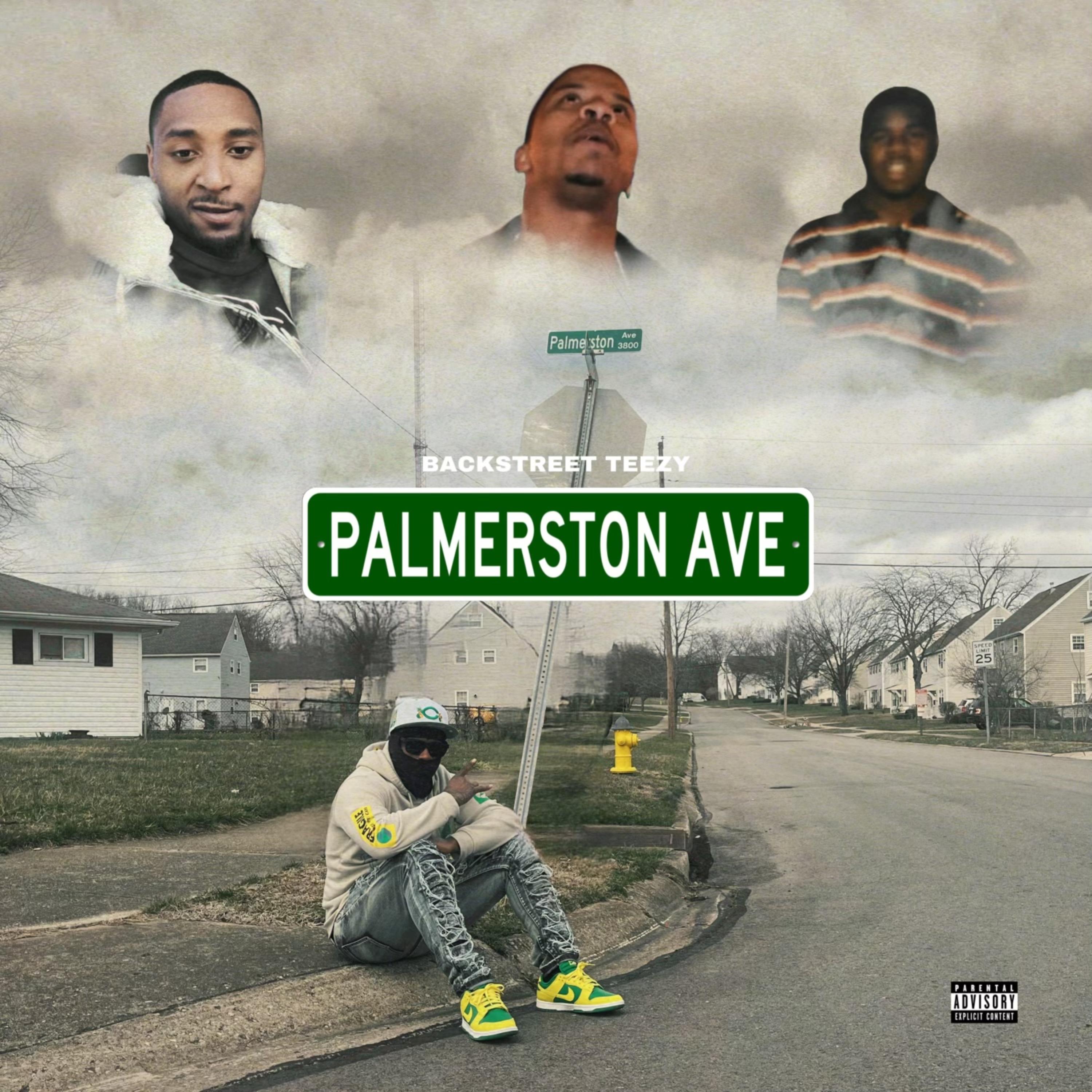 PALMERSTON AVE artwork