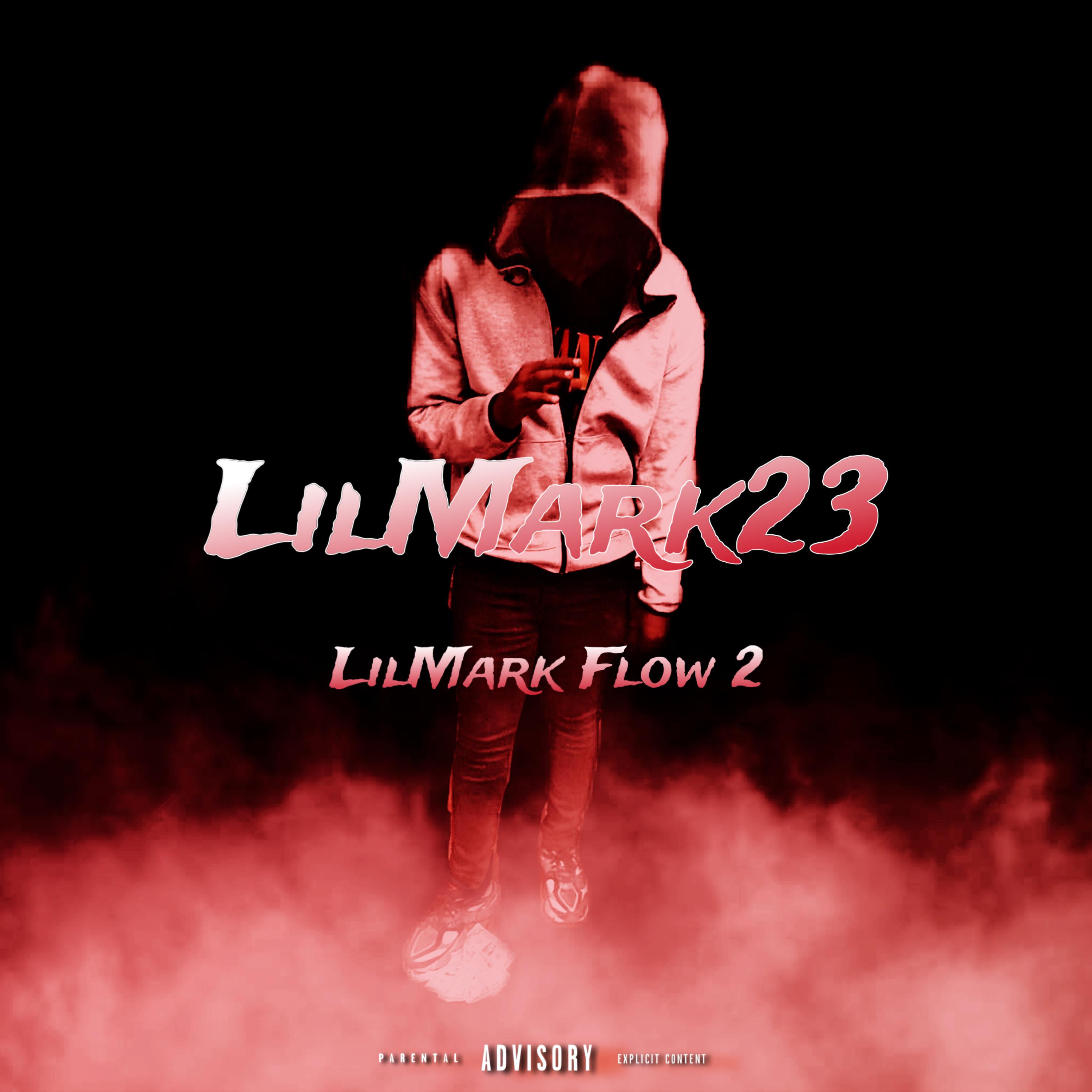 Flow 2 artwork