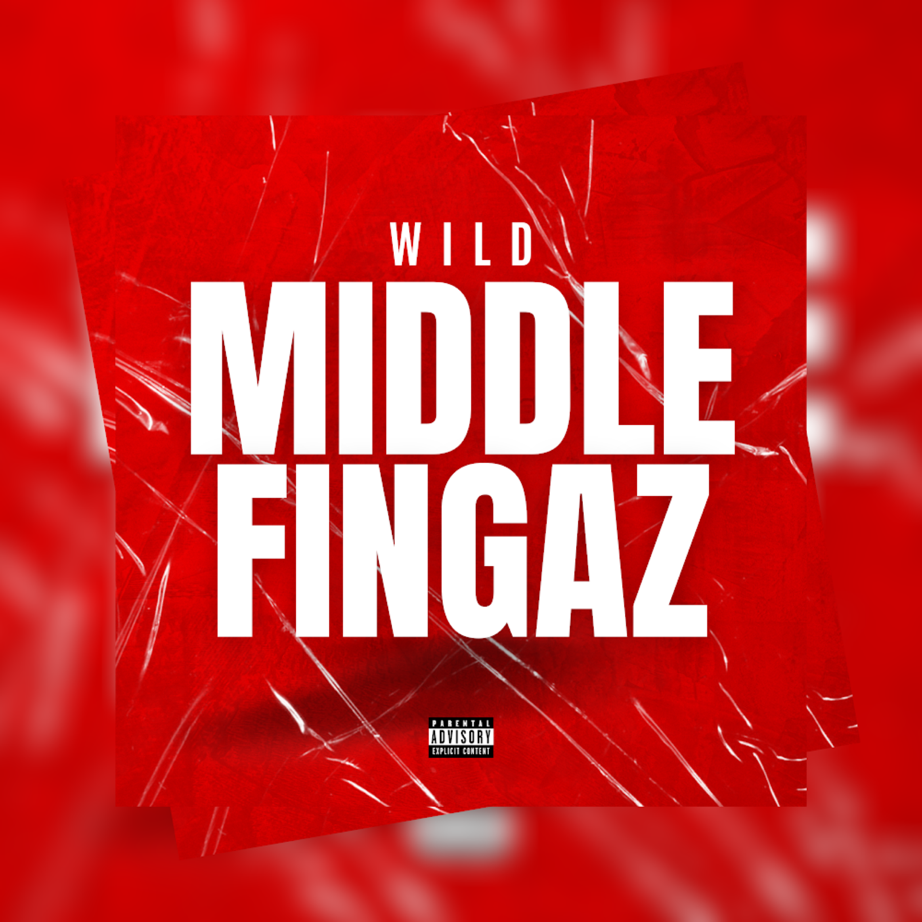 Middle Fingaz artwork