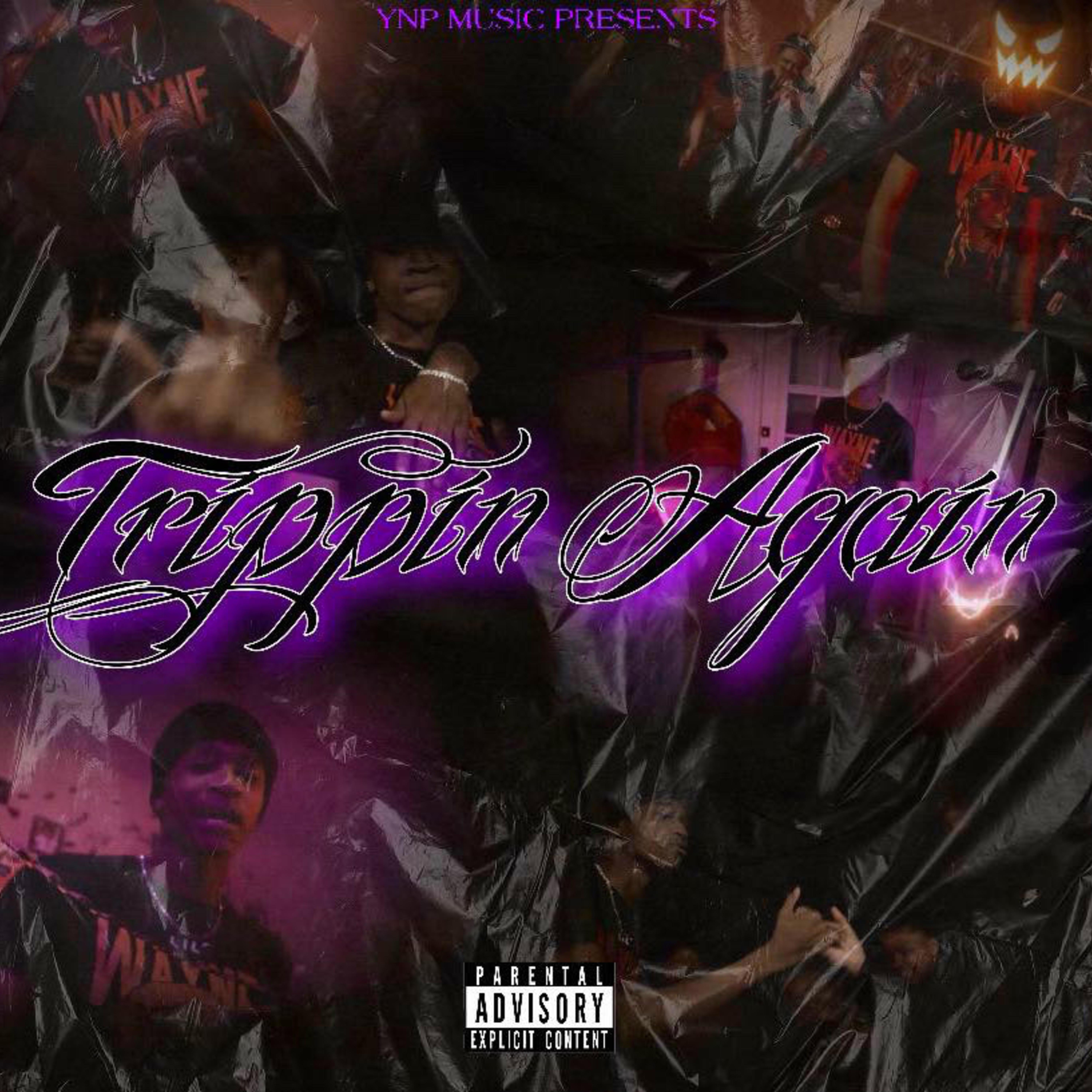 Trippin Again artwork